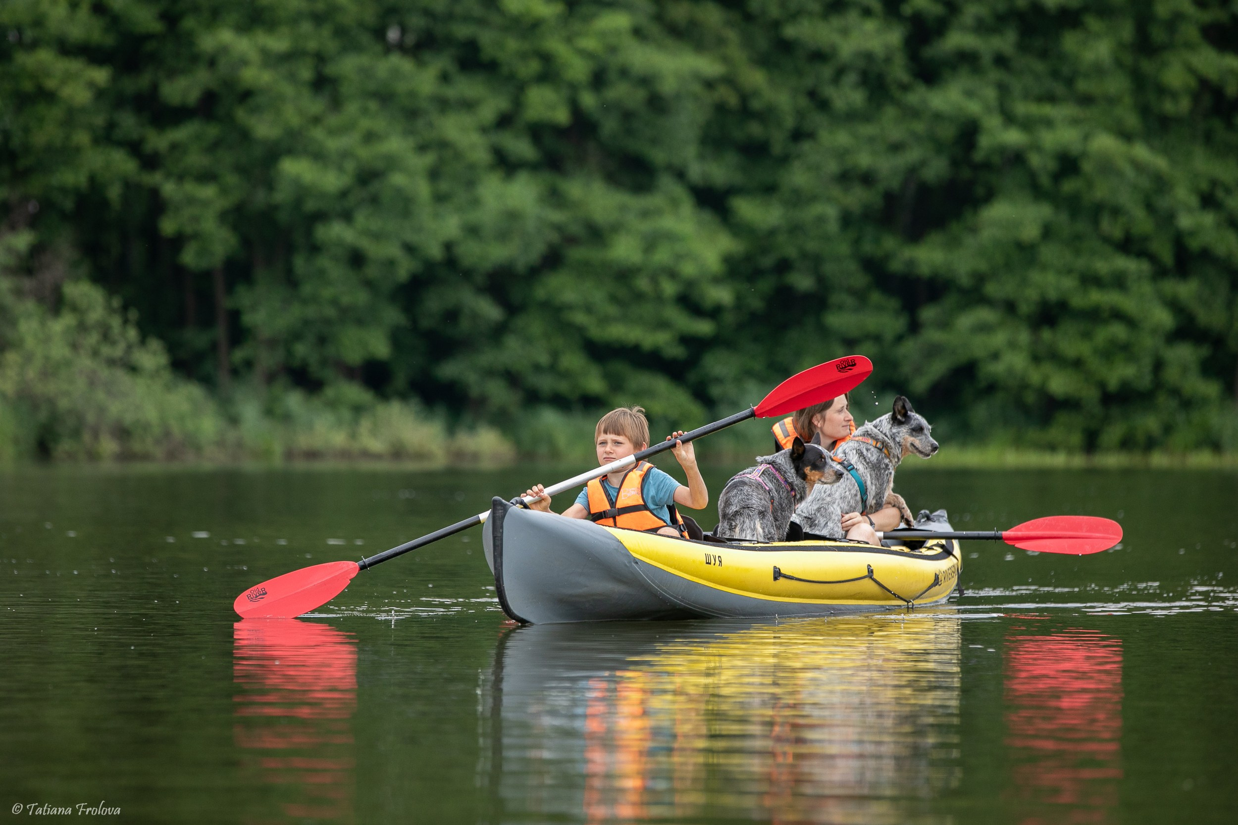 Фотоочет о сплаве на байдарках вместе с собаками. Фотограф-анималист в Москве и Московской области Татьяна Фролова