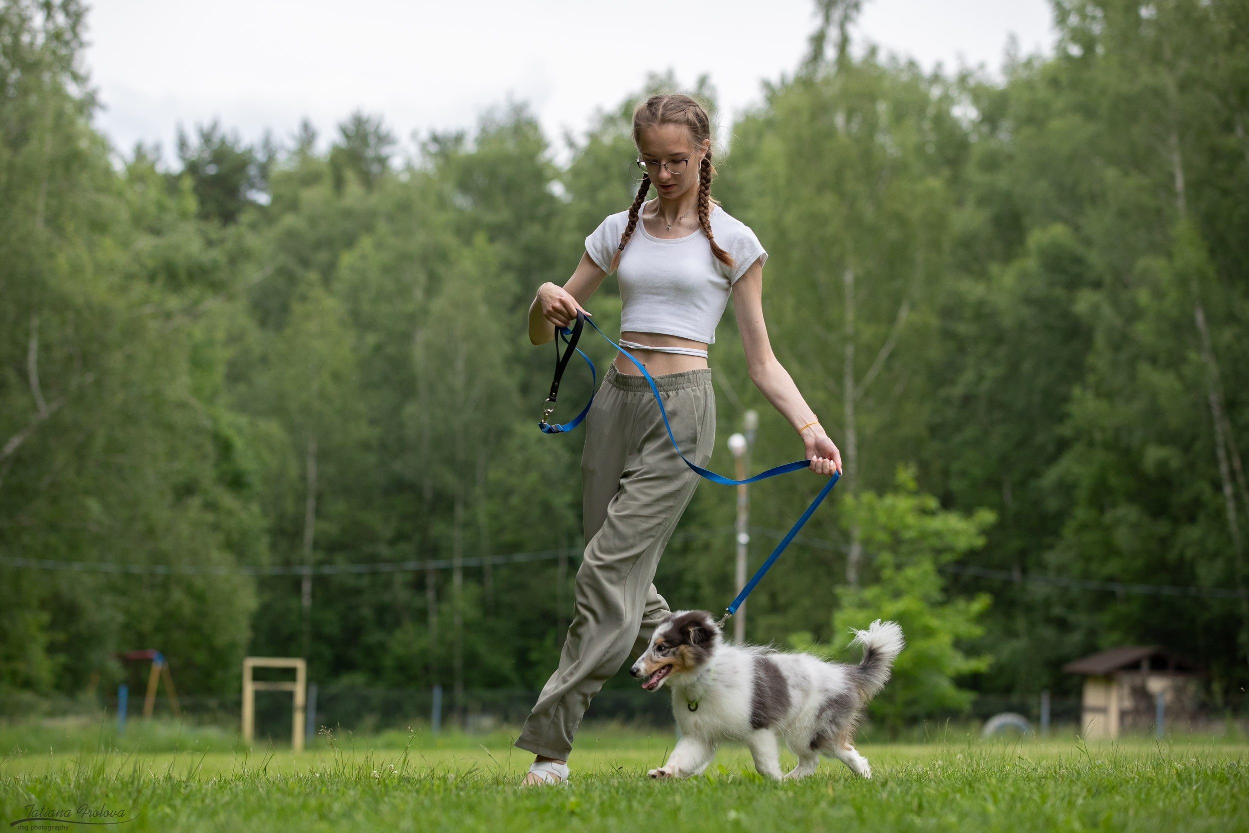 Репортаж с выводки молодняка колли/шелти в Ясенево. Фотограф-анималист в Москве и Московской области Татьяна Фролова