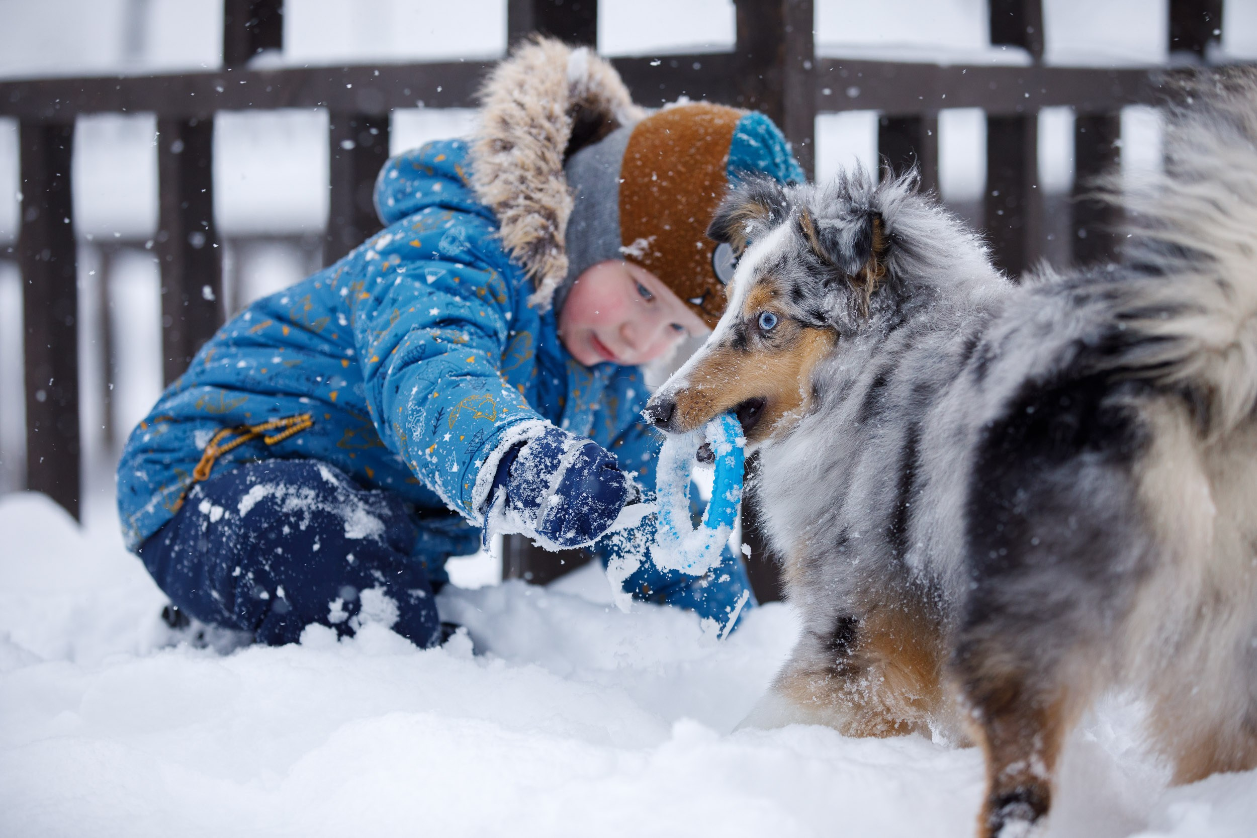 Съёмка ребенка и щенка. Фотограф-анималист в Москве и Московской области Татьяна Фролова