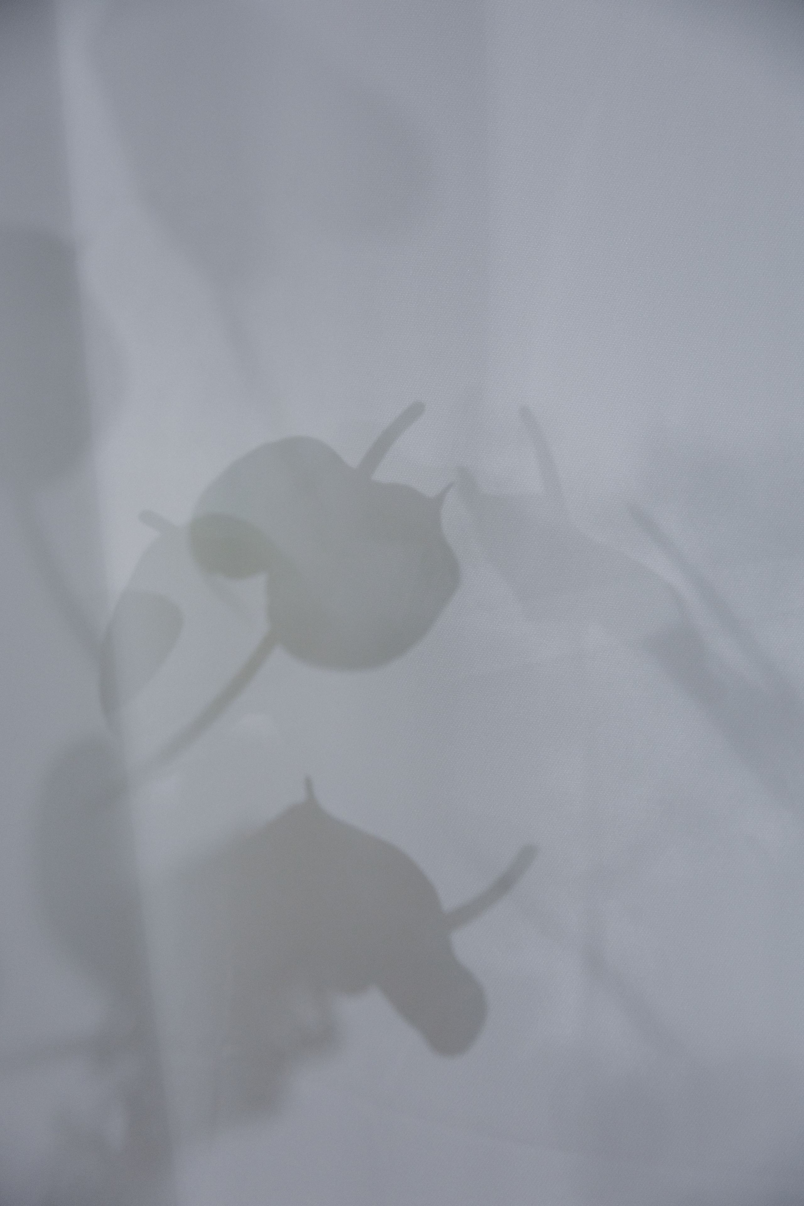 Дмитрий & Алена. RETOUCH-HOUSE