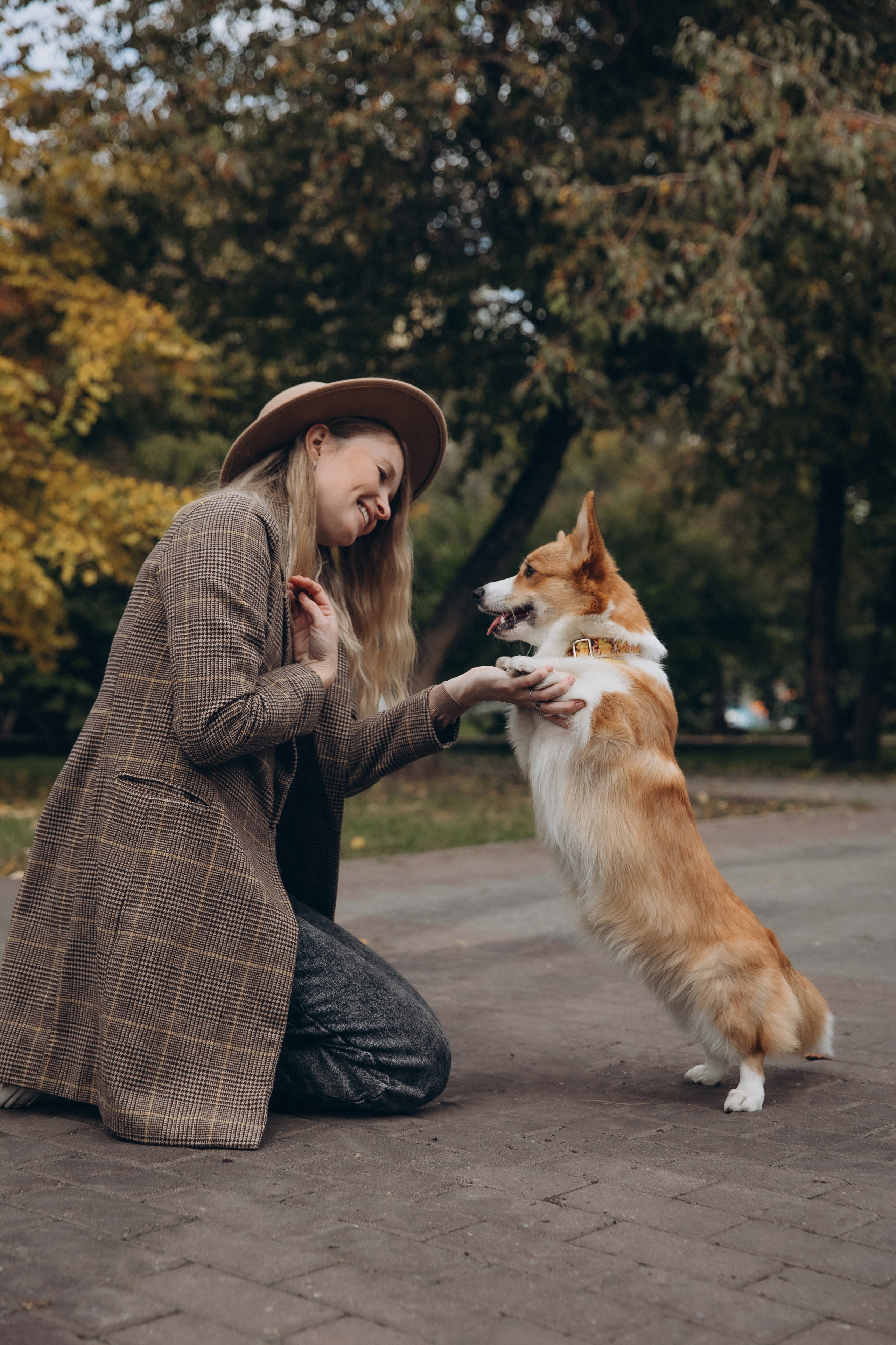 «Королевский Корги» 2. Фотограф Алина Ионычева в Новосибирске