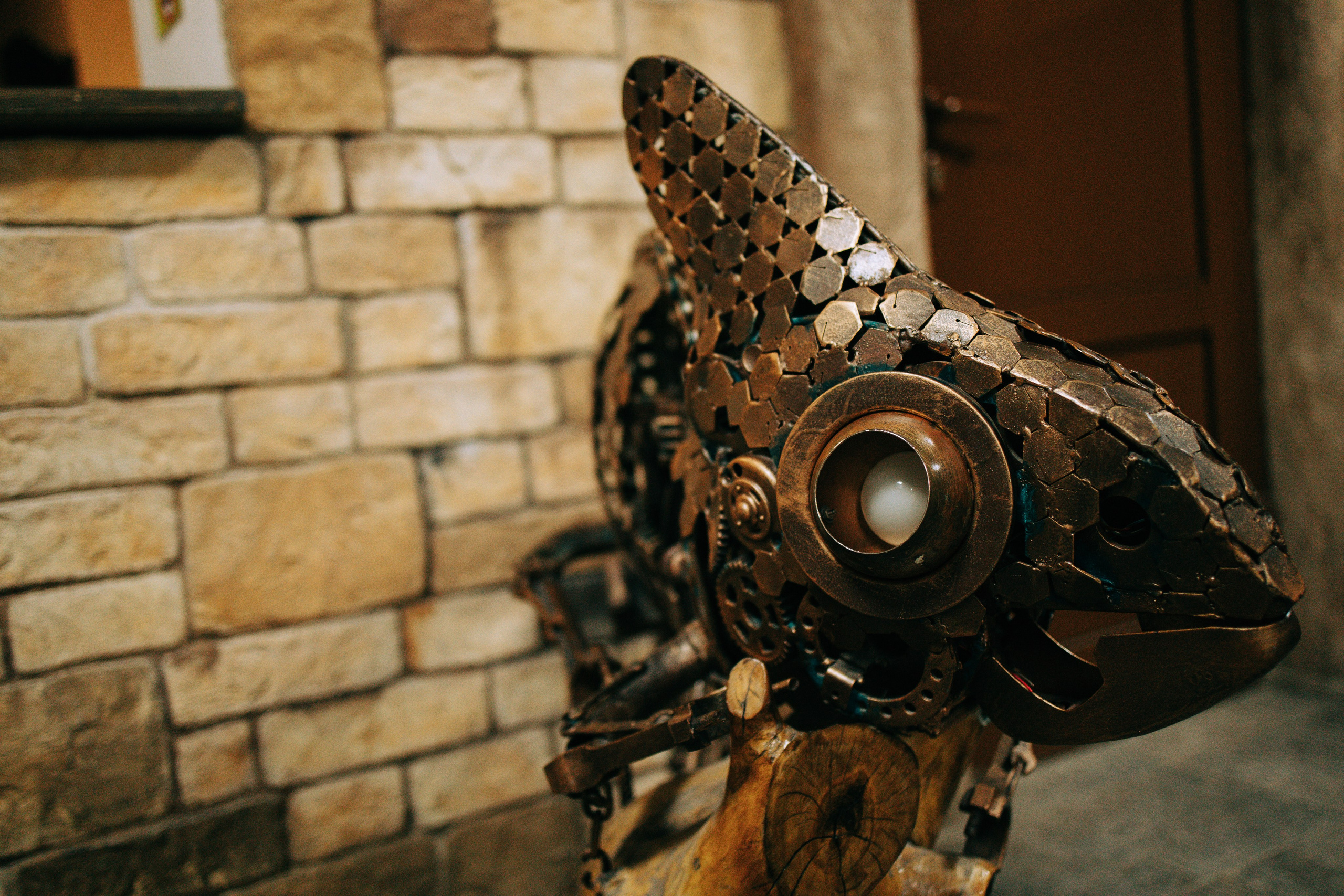 Осень, парк, экзотариум. Свадебный и семейный фотограф в Туле и области Маша Костина