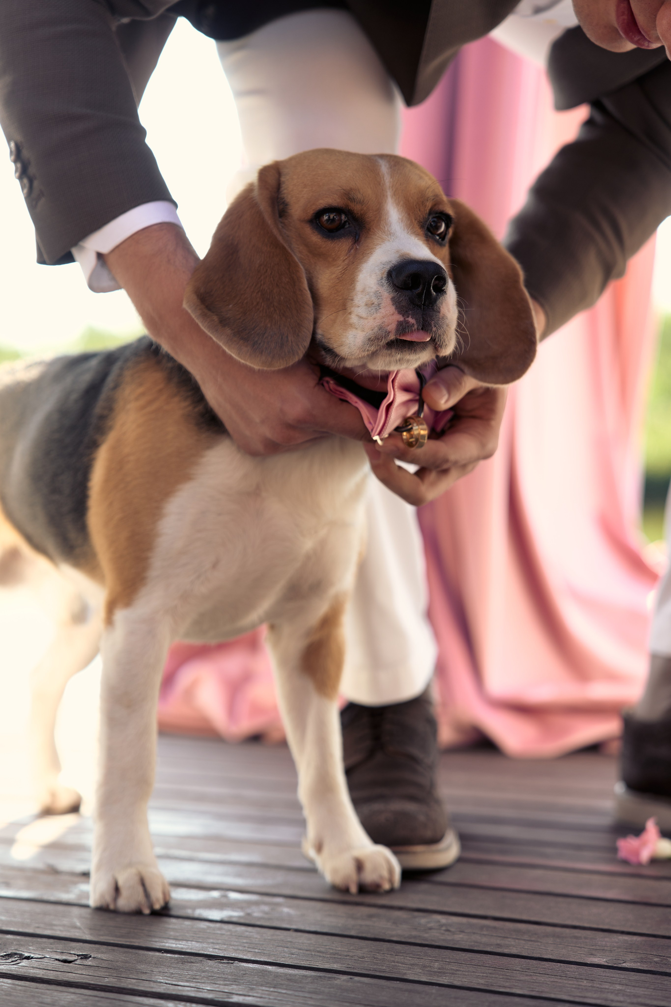РЕmezzоВЫ. Фотограф Москва и Екатеринбург. Максимова Соня