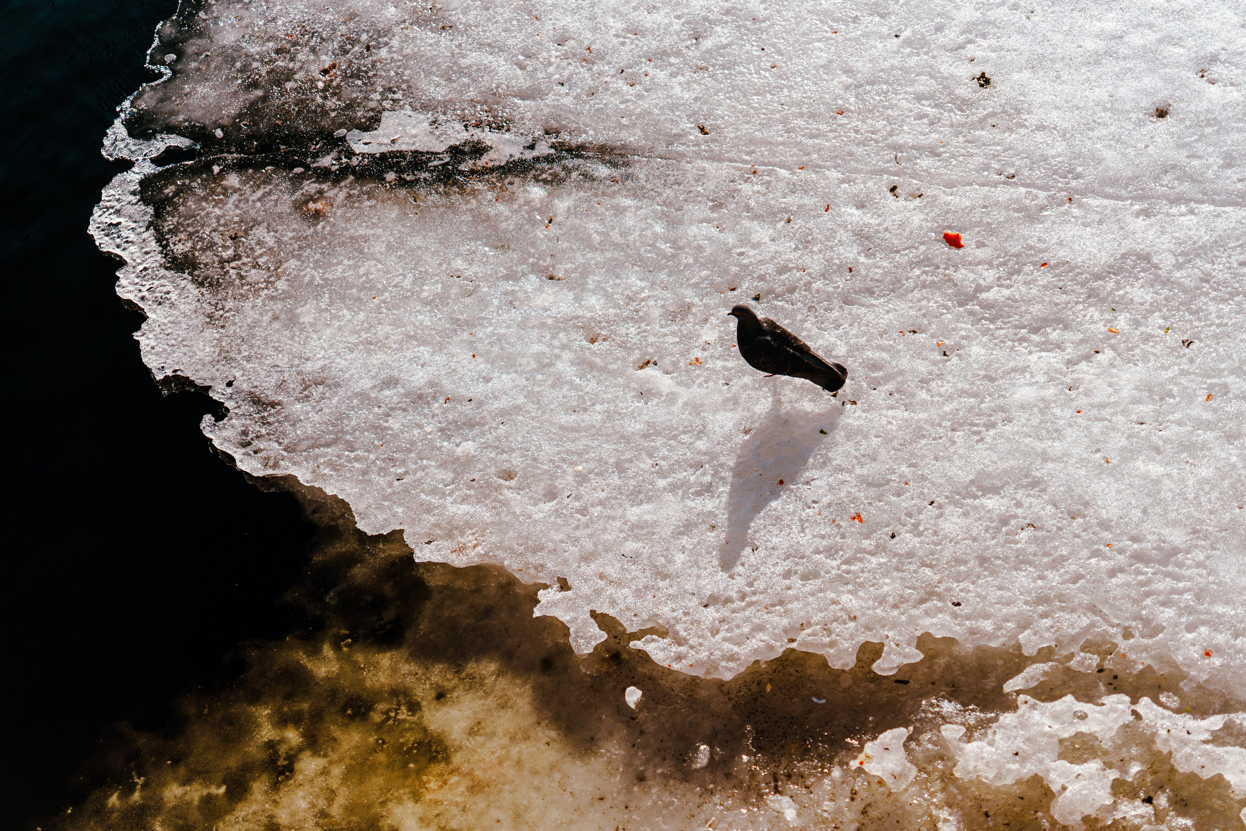 Санкт-Петербург. Фотограф в Санкт-Петербурге Ибрагимова Алина