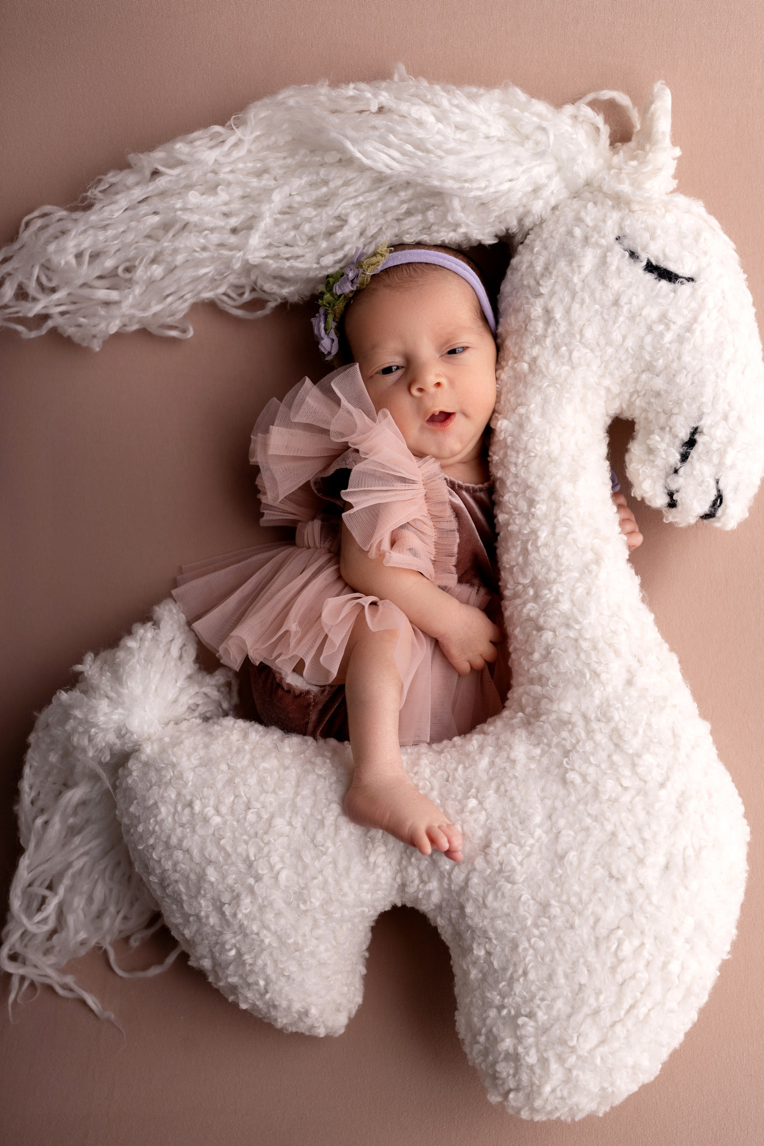 Фотосъемка двойни. Фотограф новорожденных малышей в Омске и Омской области Эльвира Камаева