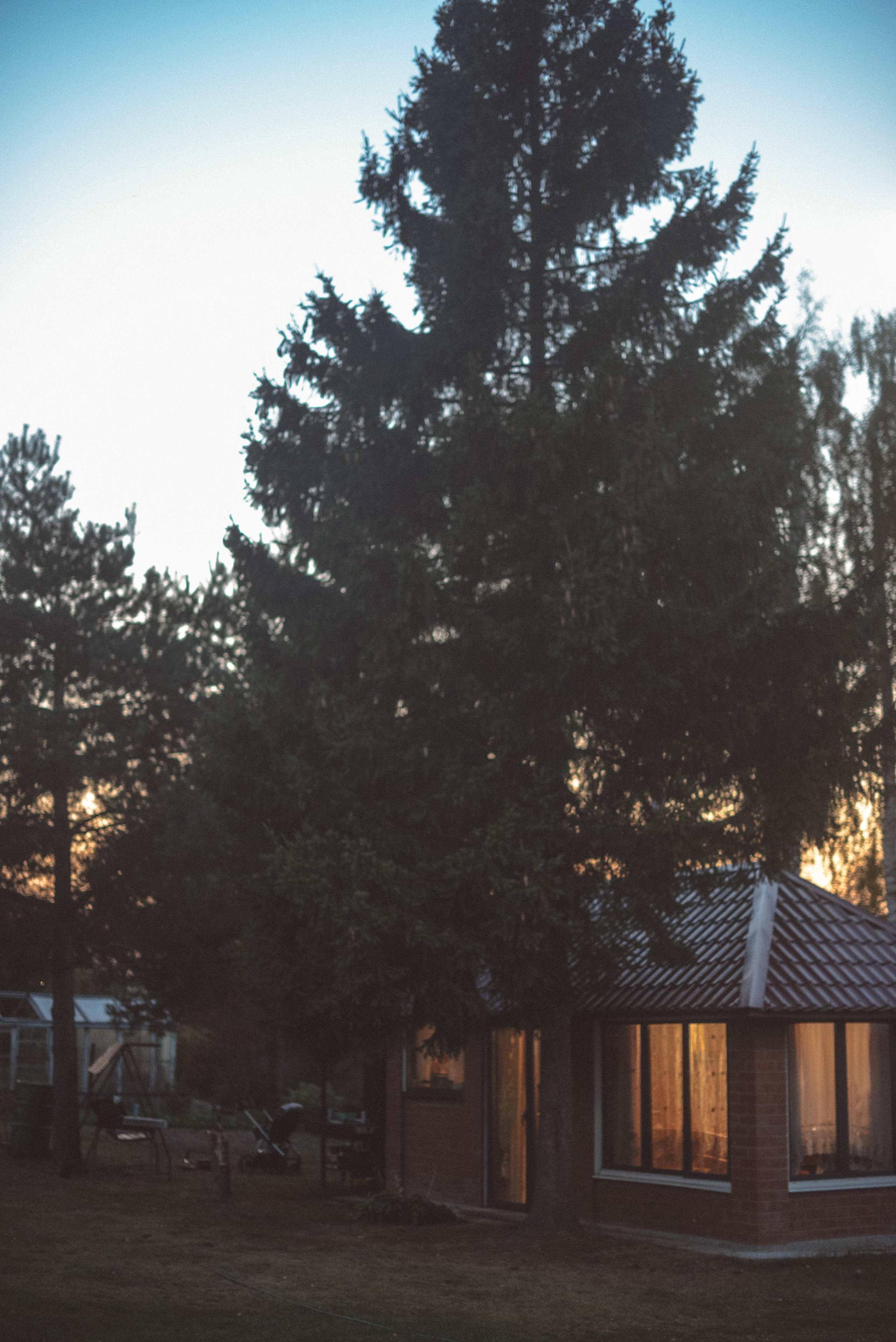 Одним осенним днем. Семейный и детский фотограф в Москве Князева Диана