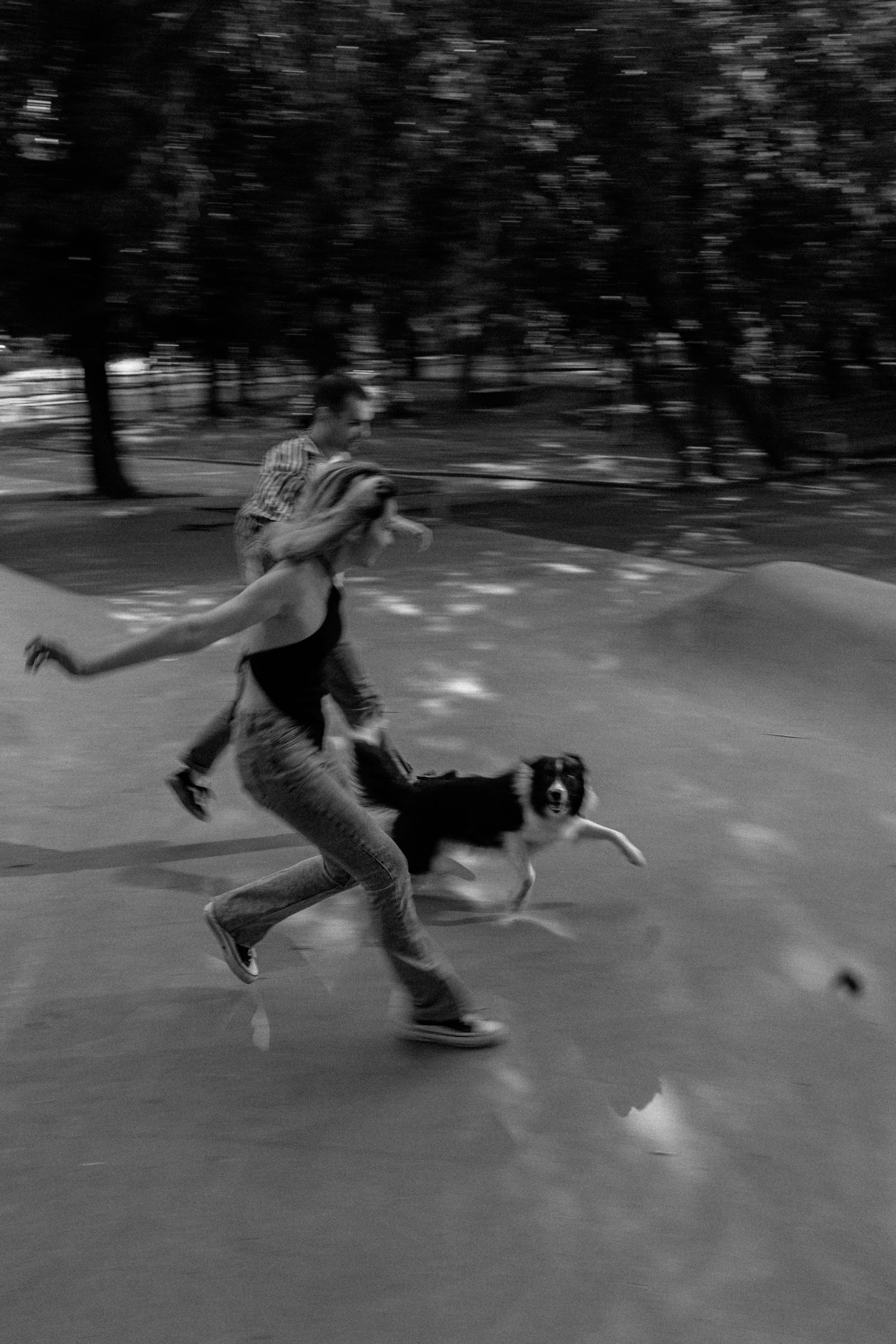 Брюс, Вейв и их ро. Фотораф — анималист Мария Шистка