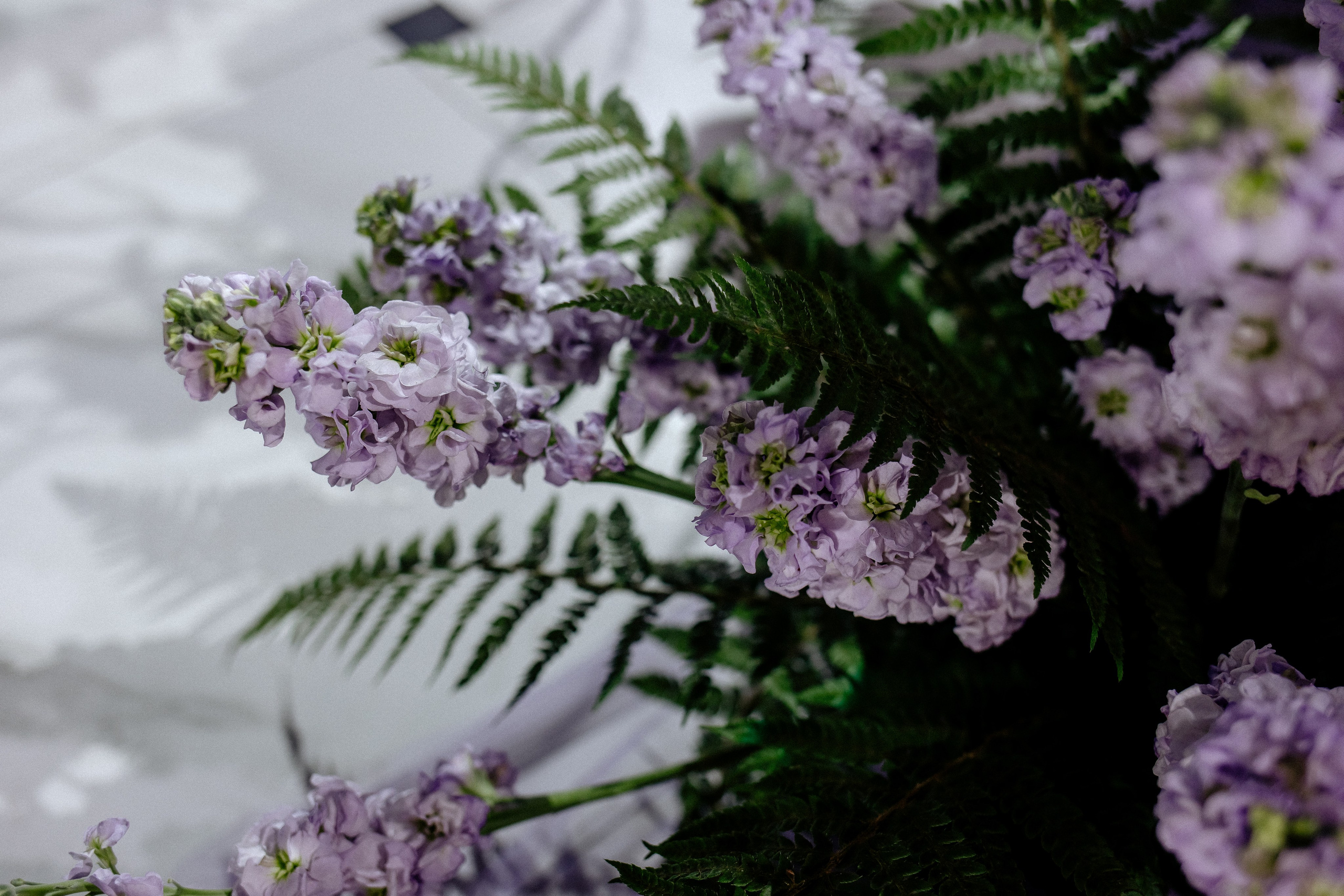 Данил и Кристина. Свадебный фотограф в Саратове Симашова Ирина