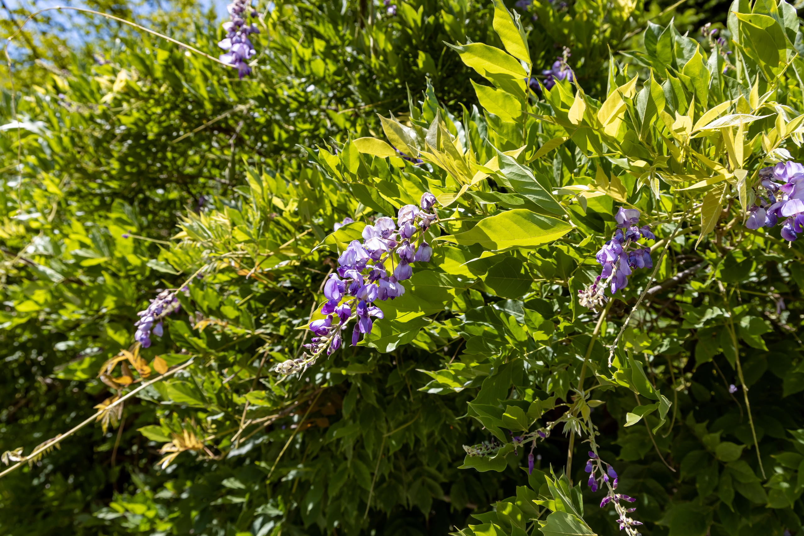 Сочи. Солох Аул. Репортажный, семейный и студийный фотограф в Москве Демин Алексей