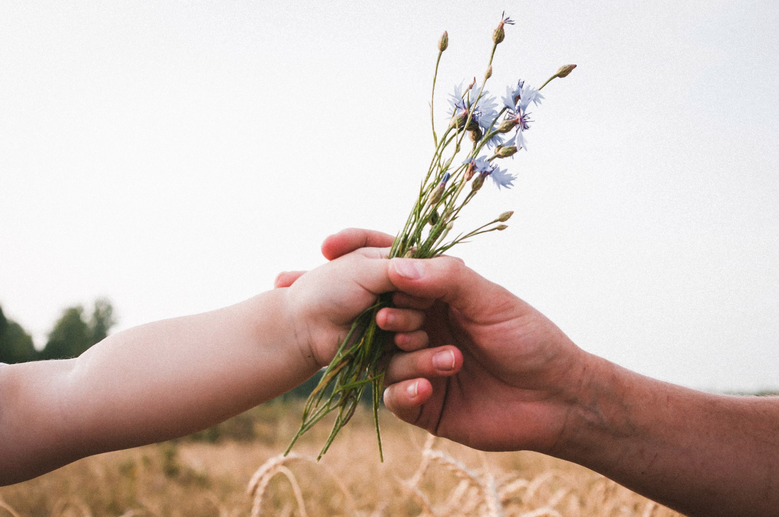 Любовь. Фотограф первого впечатления