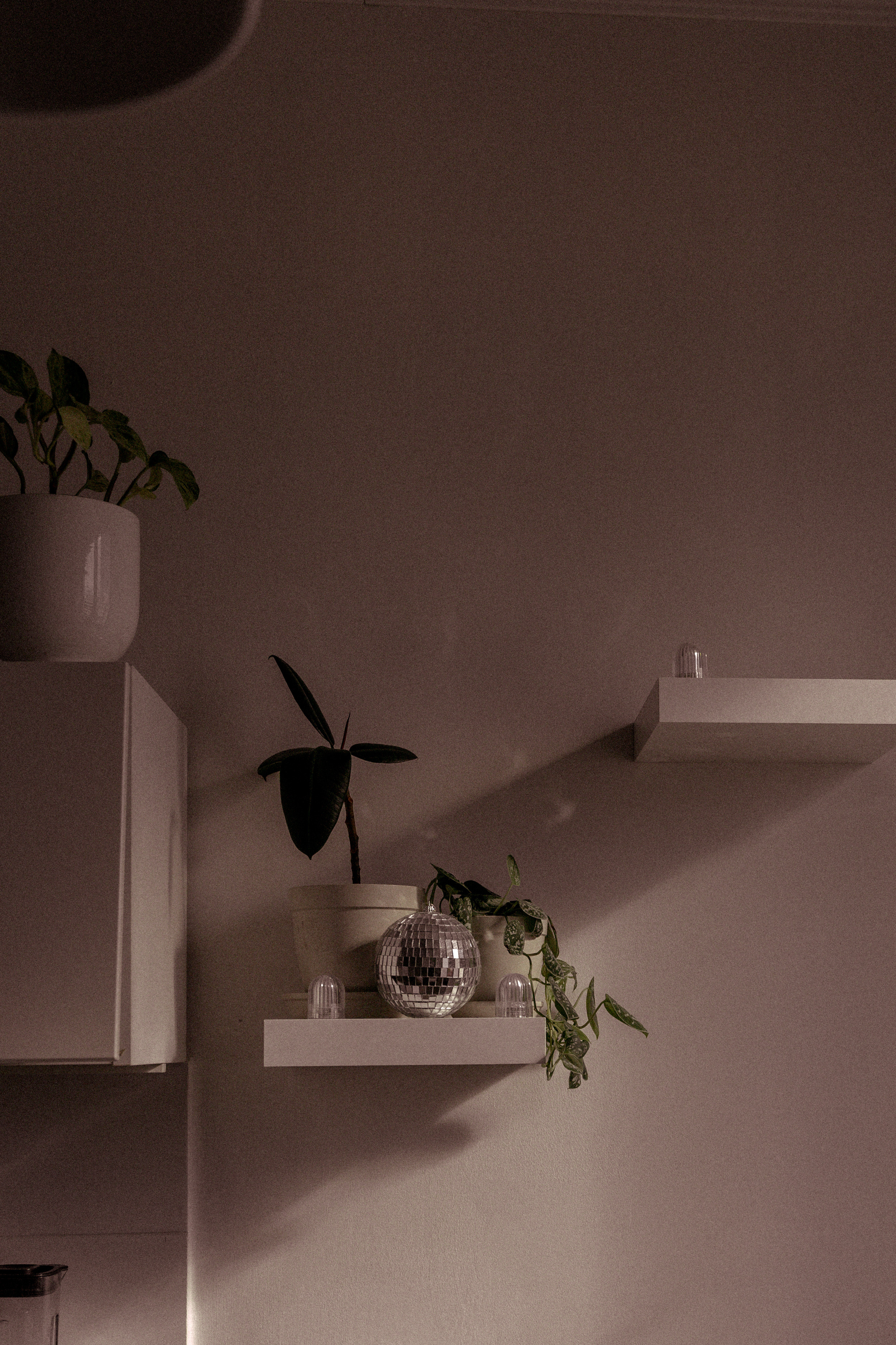 Любовь. Фотограф первого впечатления