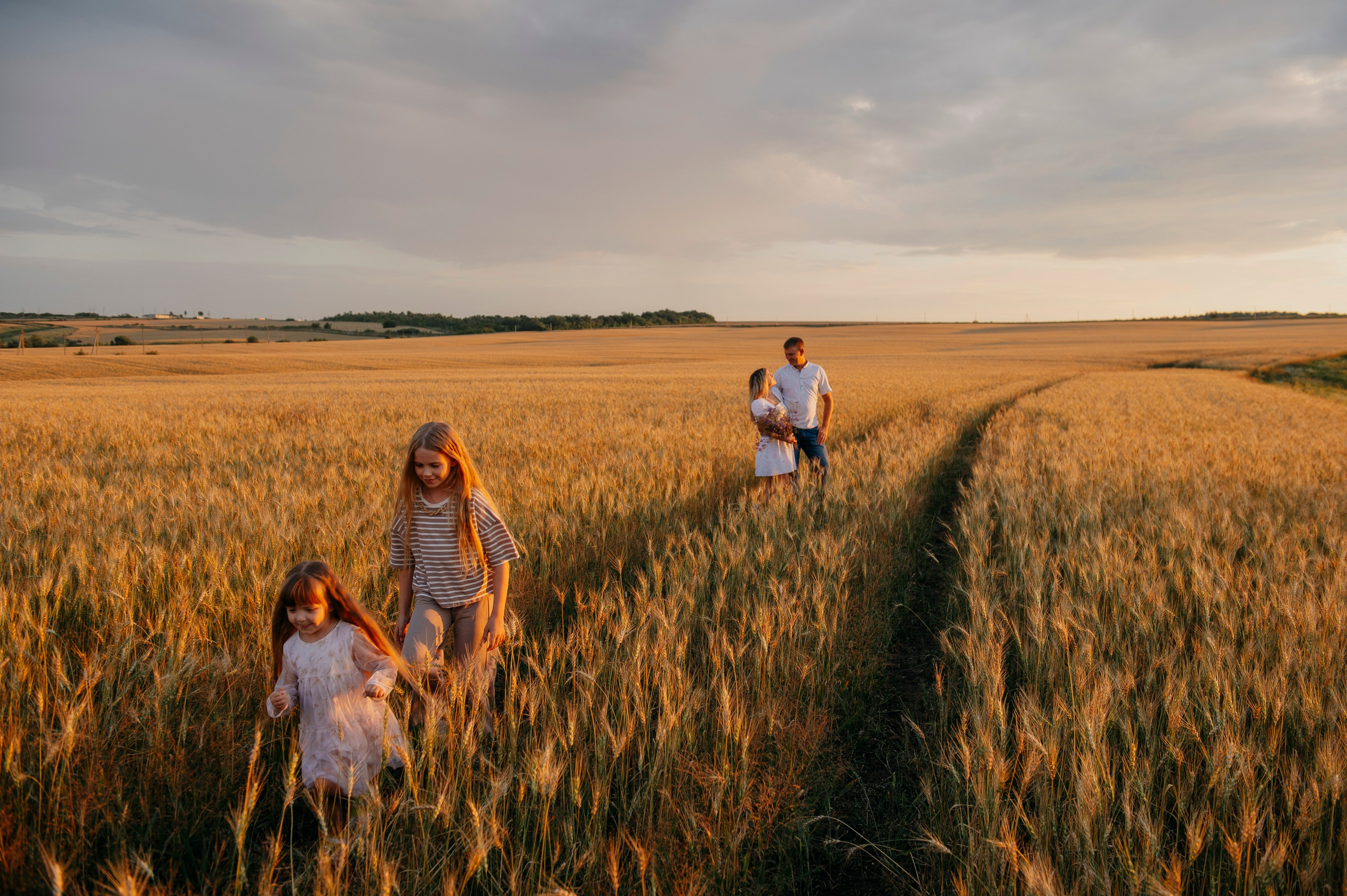 Пшеничный закат. Фотограф Дарья Семина
