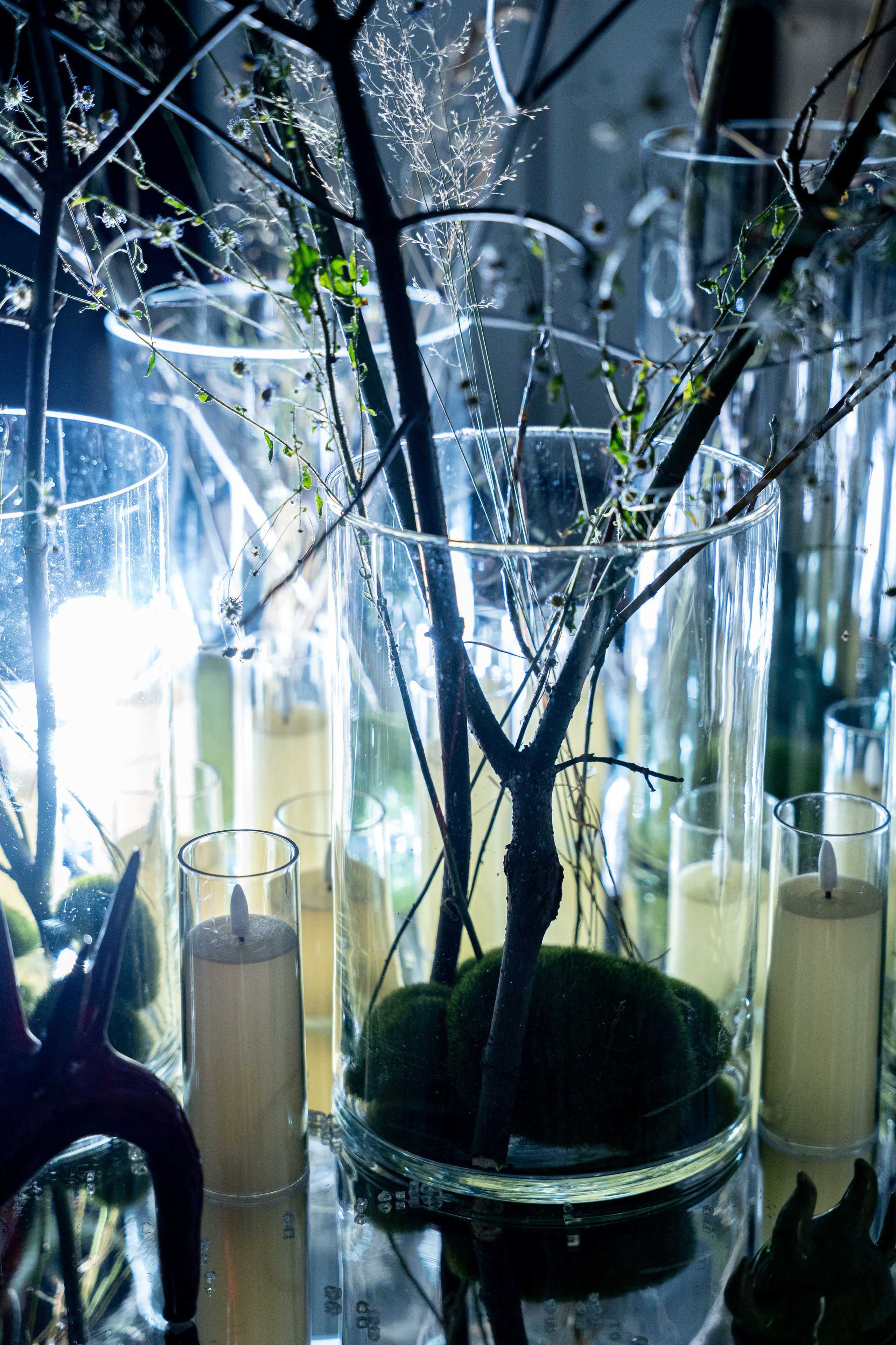 ЛЕС Авторский проект Юлии Якубович 04.11.2025. Портретный и репортажный фотограф в Москве Разуменко Роман