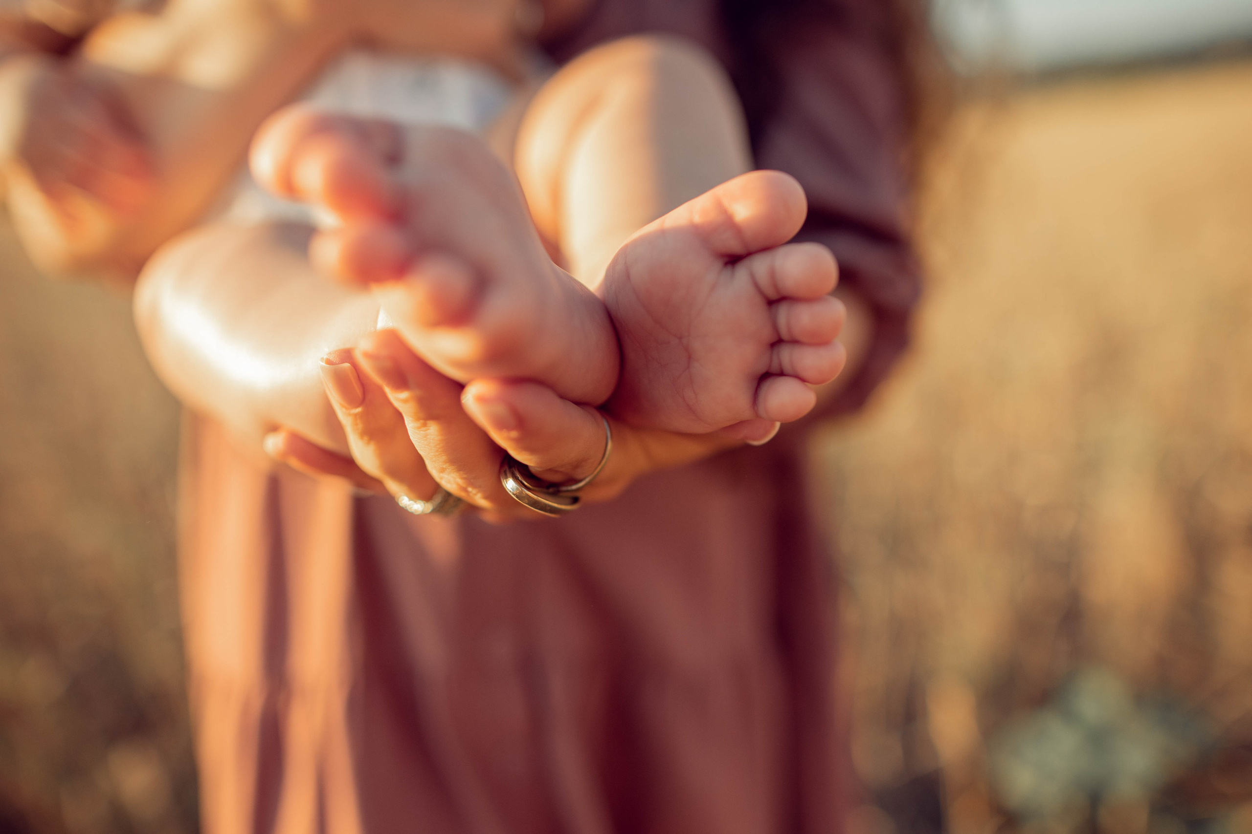 Пшеница. Главная