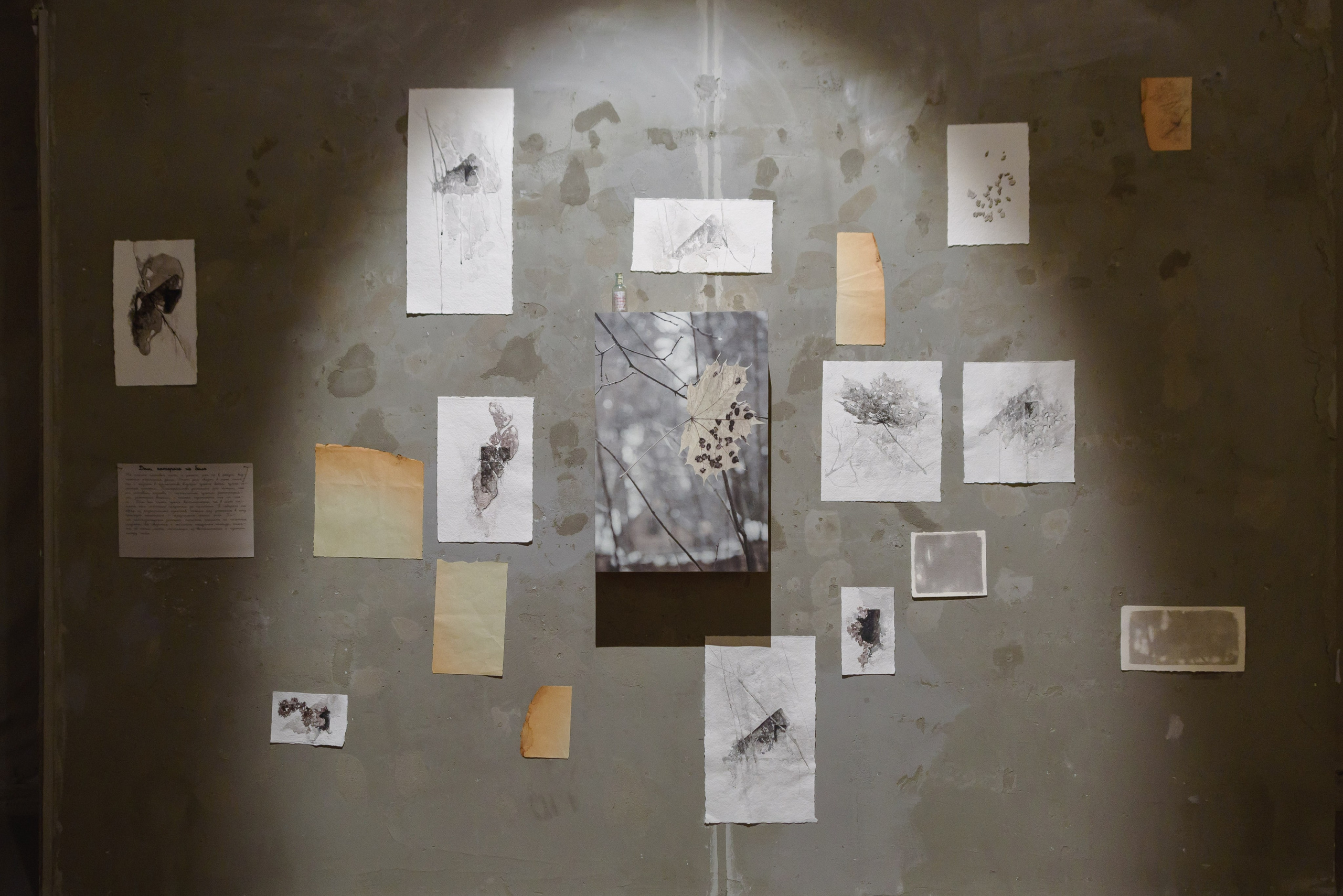 Выставки. Фотограф Руслан Хафизов