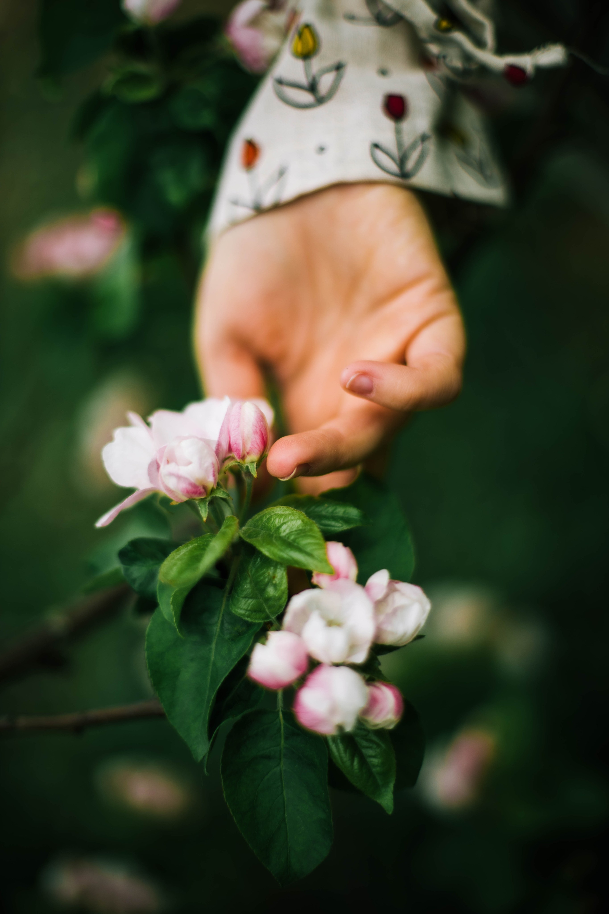Настасья в цветении. Фотограф в Нижнем Новгороде