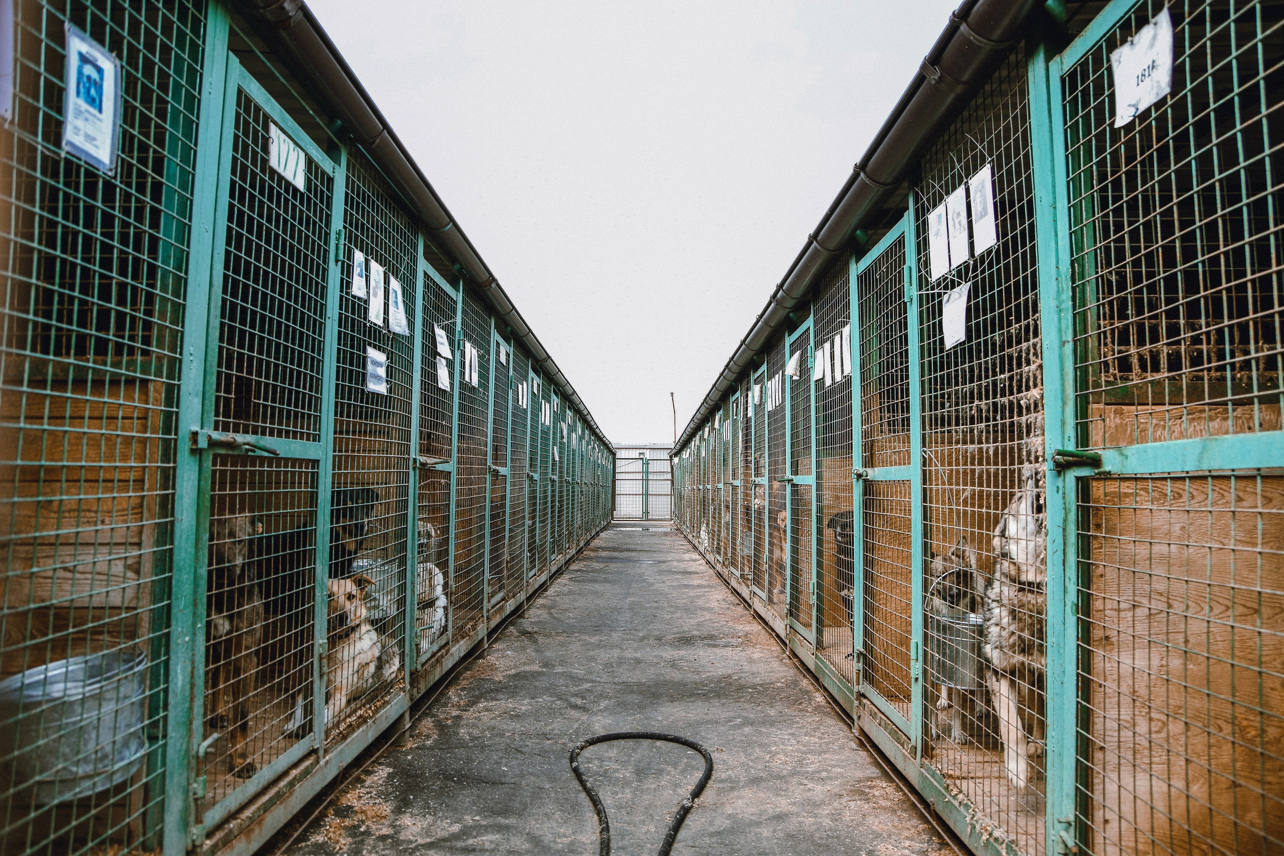 Street/ Report. Фотограф в Москве Daria Lens