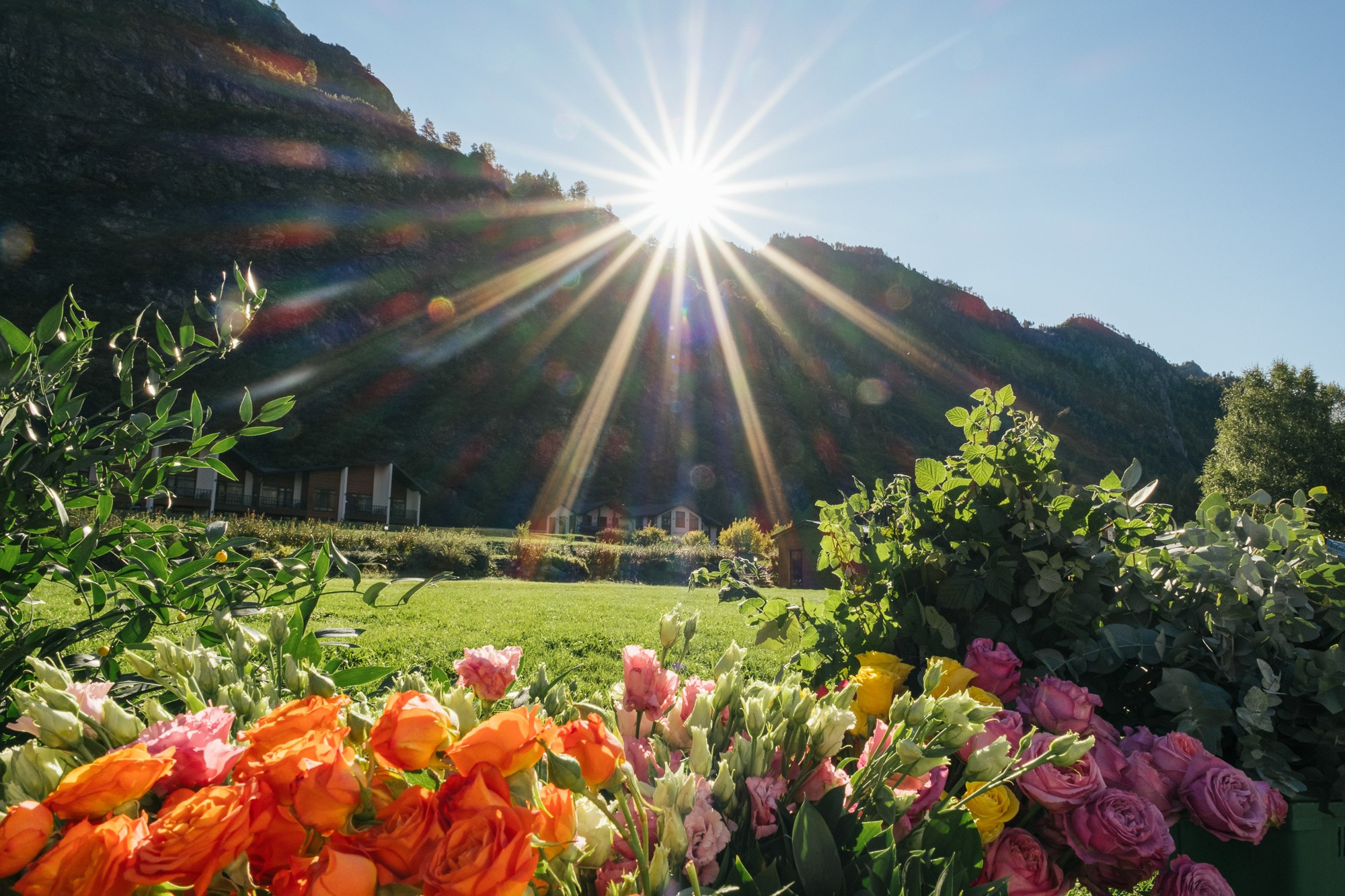Ульяна / Иван — Горный Алтай. Свадебный Видеограф Фотограф в Сочи