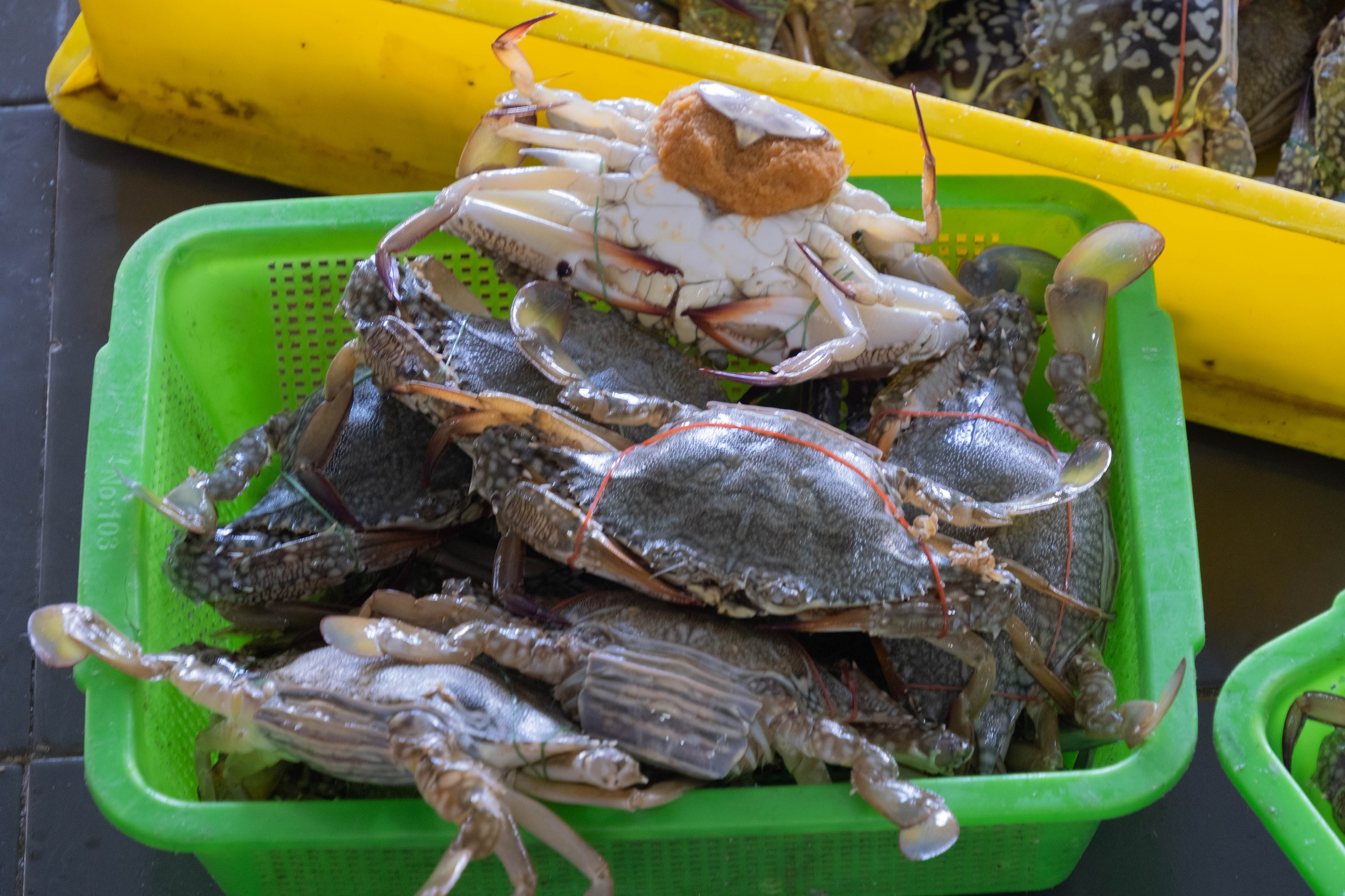 Остров Борнео, город Семпорна. Причал и рынок. Фотографии из путешествий