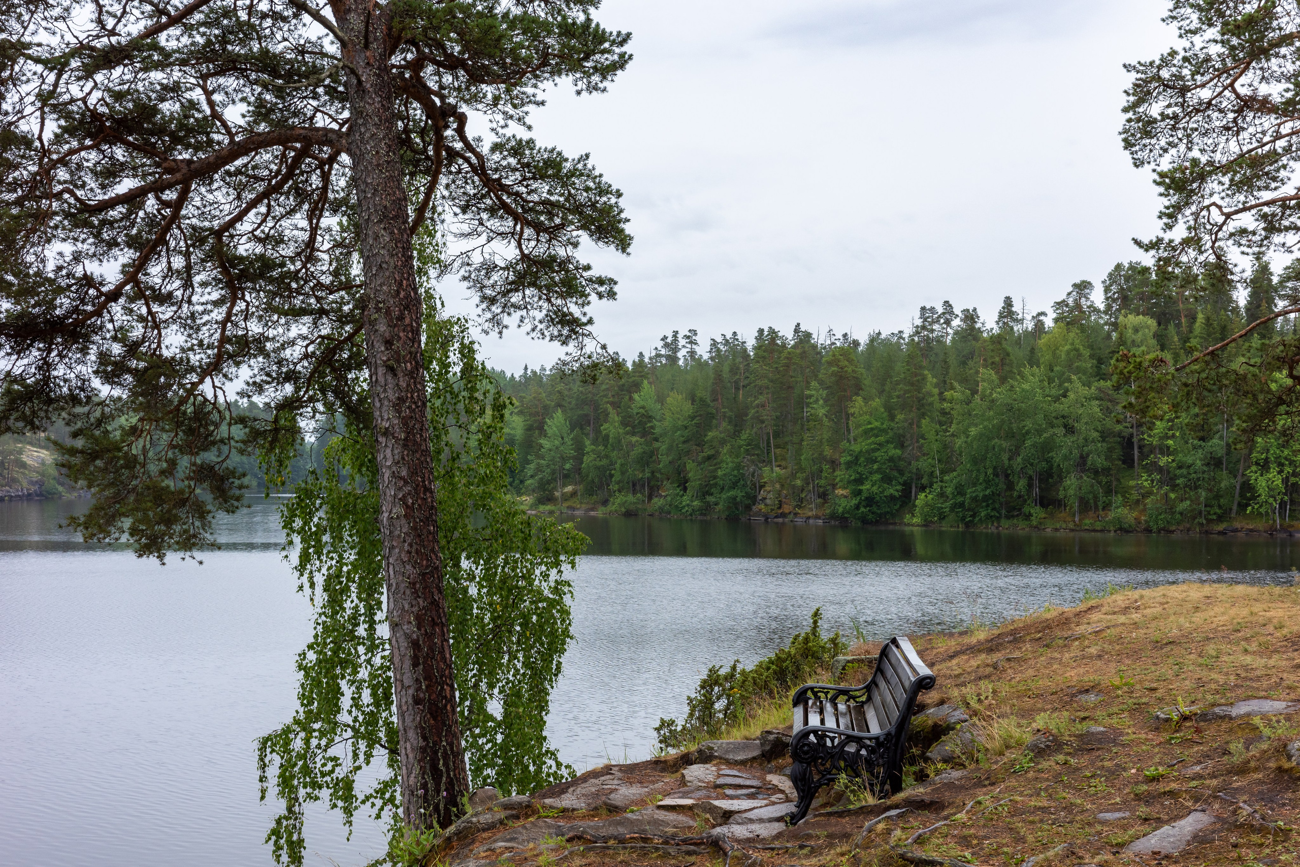 Скамейка в дождливую погоду на Валааме