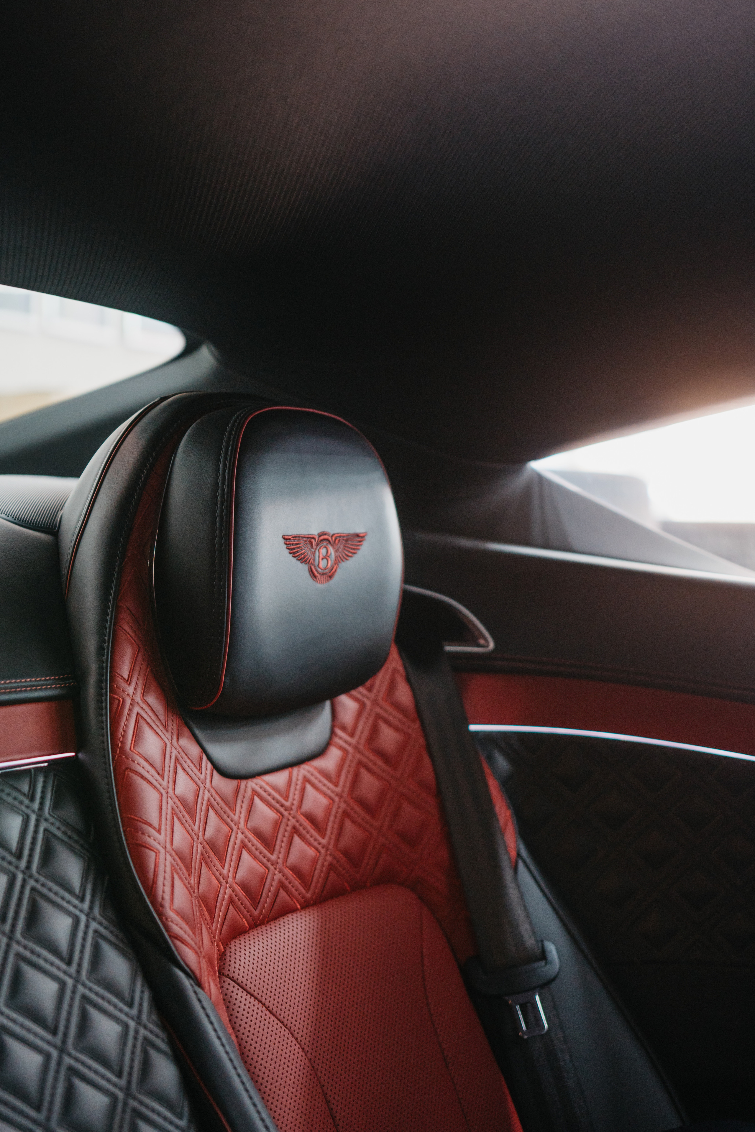 ФОТО. Видеограф Сочи Александр Барсуков