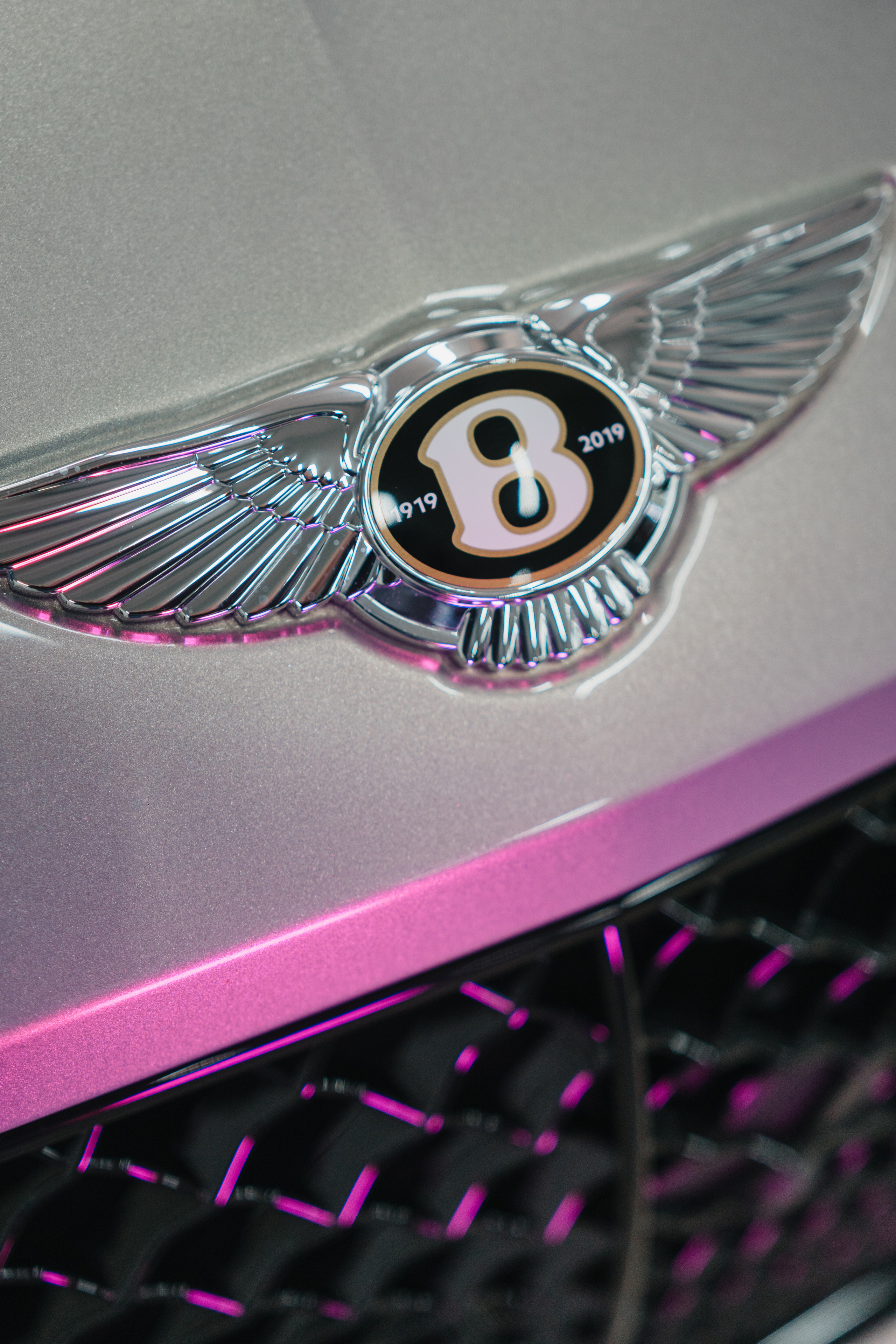 ФОТО. Видеограф Сочи Александр Барсуков