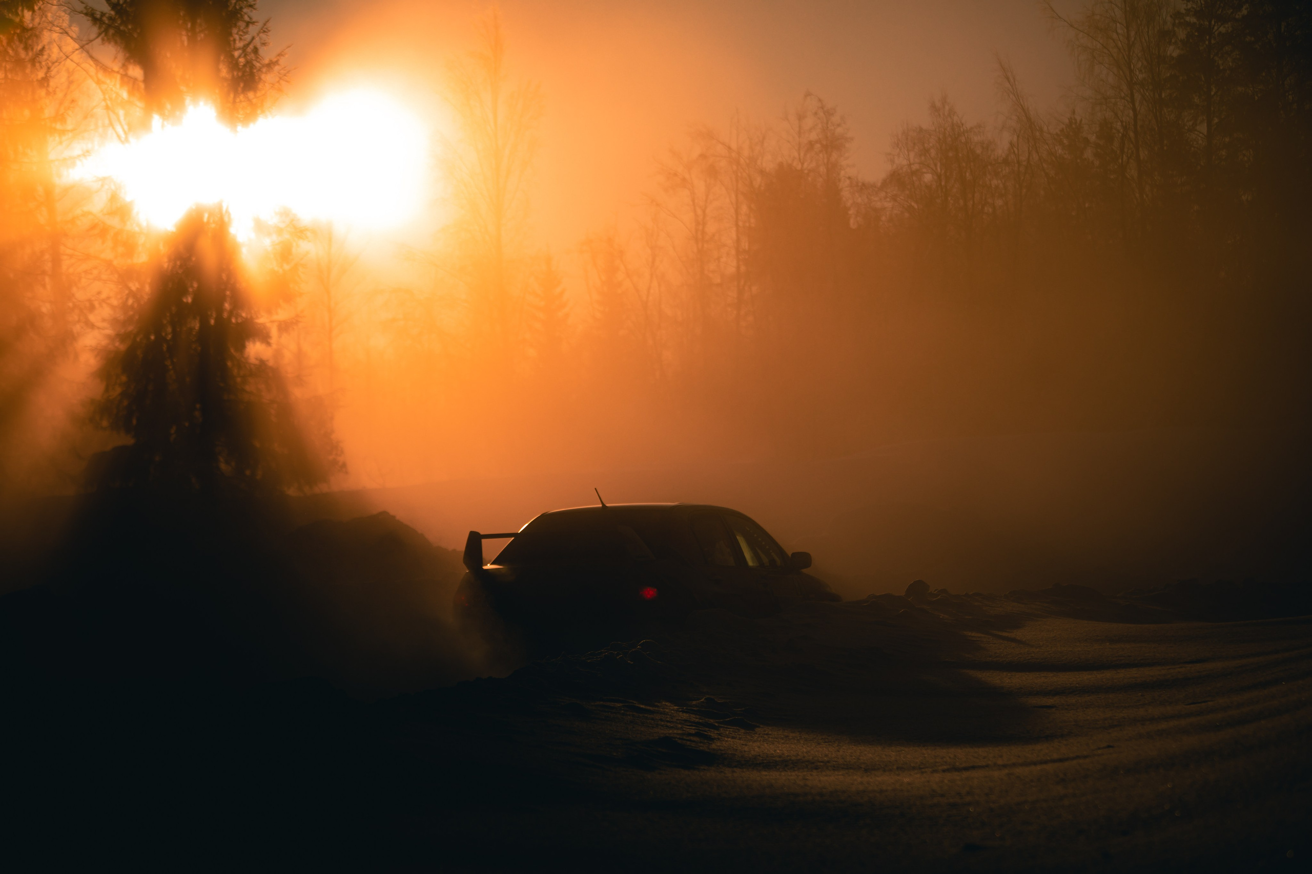 Спортивный фотограф — Никита