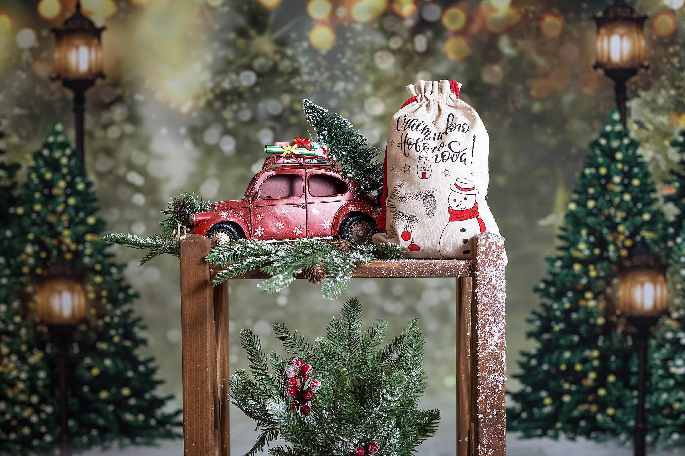 Новогодний фотопроект 2. Фотостудия «Юла»