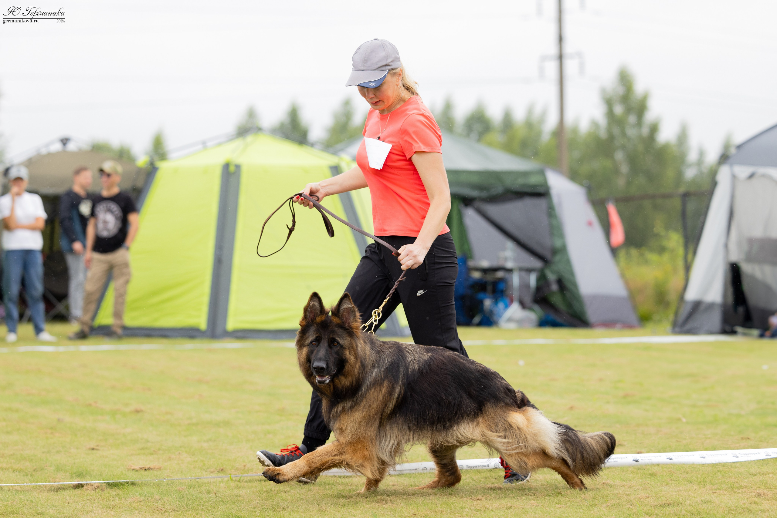 Ярославль 21.07.24 и Балашиха 13.07.24. Фотограф-анималист Юлия Германика