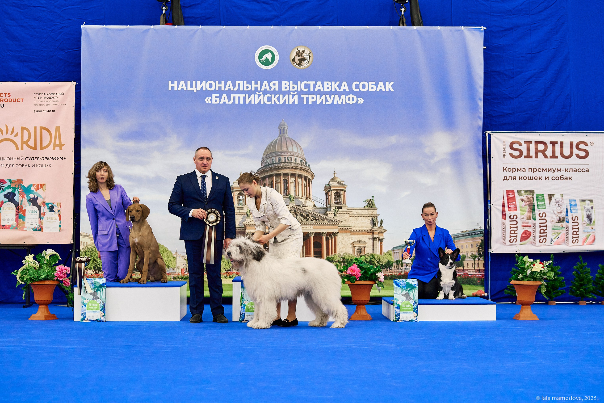 22-23 FEB 2025 | NATIONAL DOG SHOW «BALTIC TRIUMPH-2025»