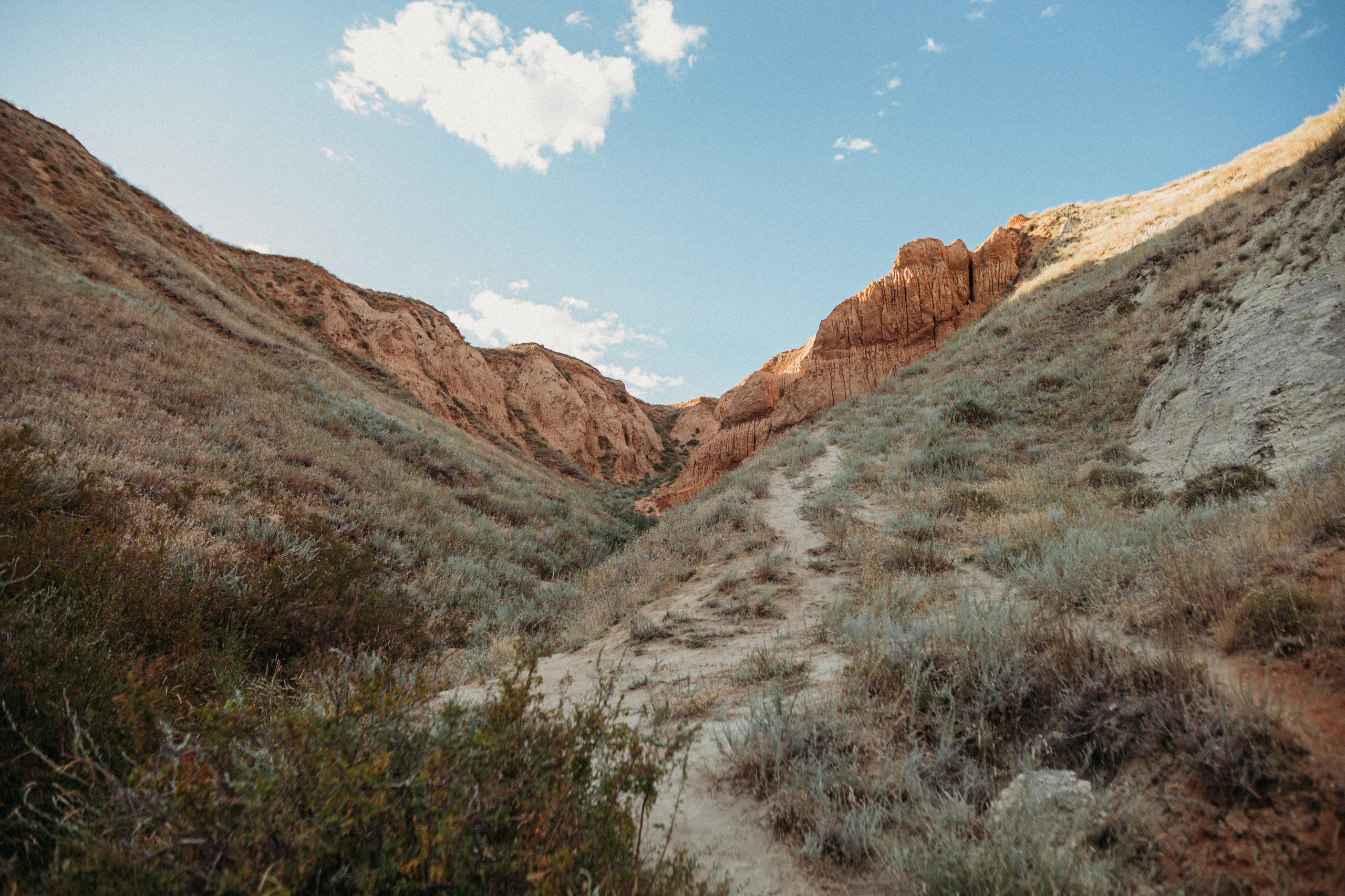 Адриана и Игорь. Www.ostermiller.ru