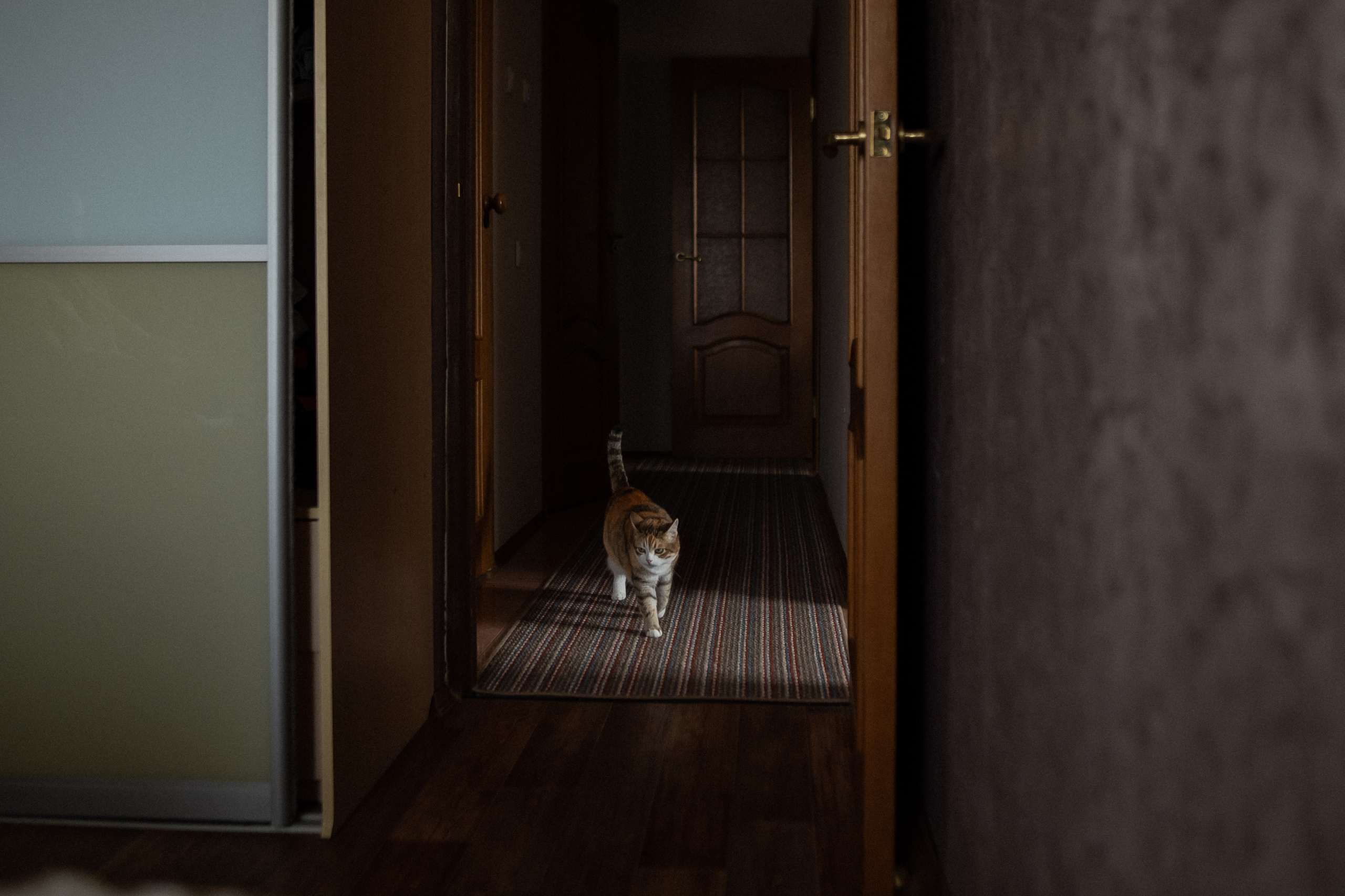 Алеся, Андрей, Варя, Юра. Www.ostermiller.ru