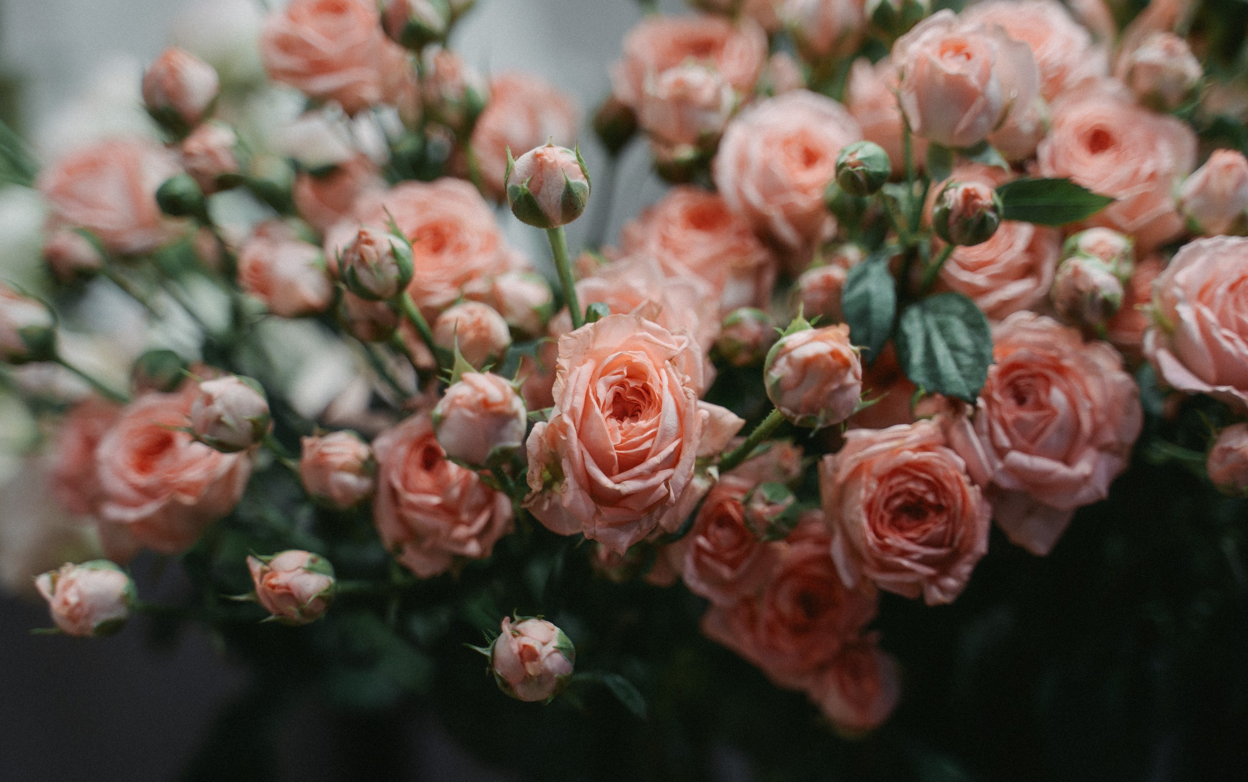 Florissimo x Enter. Саша Копылов, фотограф в Казани