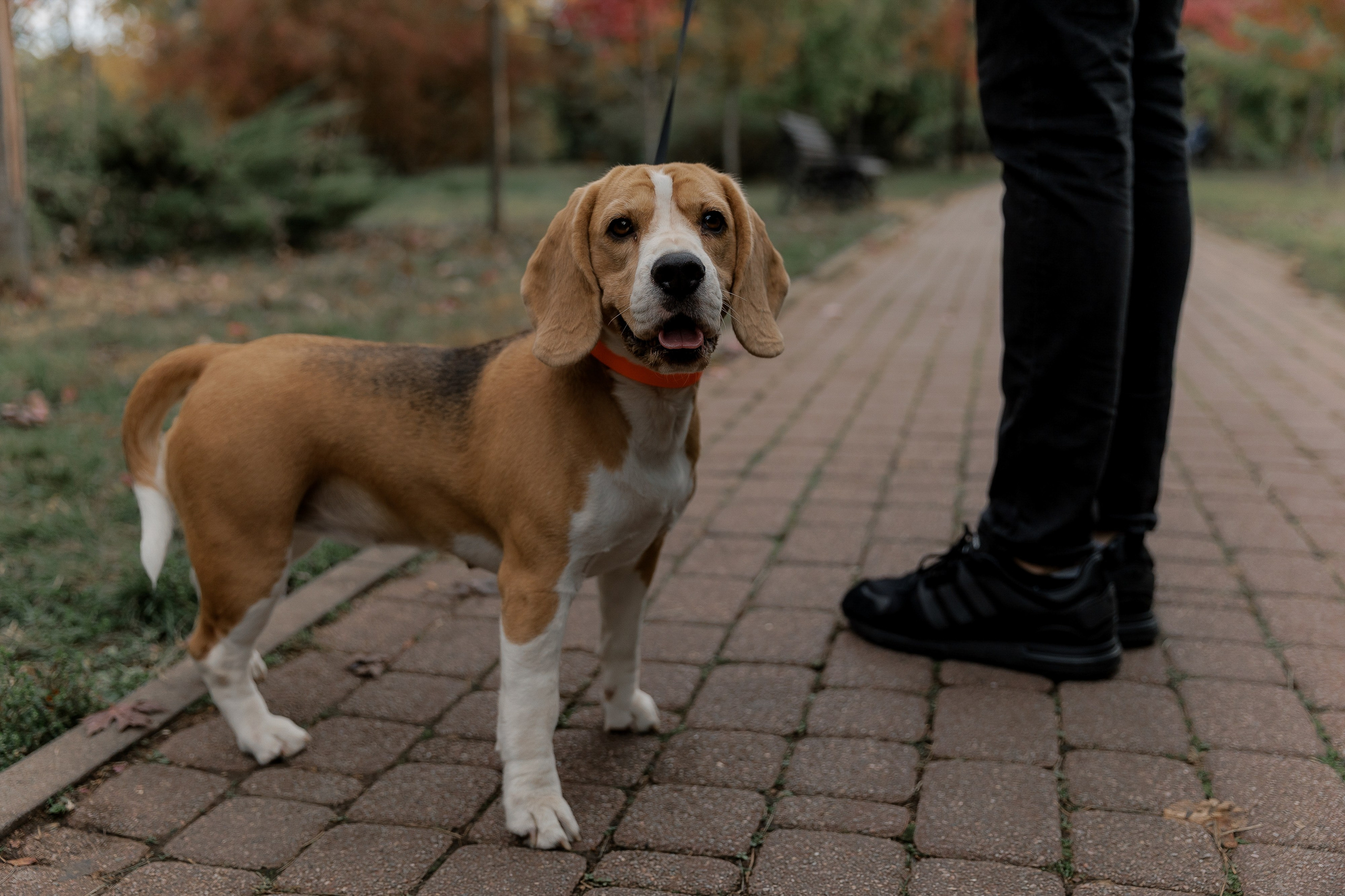 Путешествие в осень. Свадебный и семейный фотограф в Краснодаре Анастасия Прудко