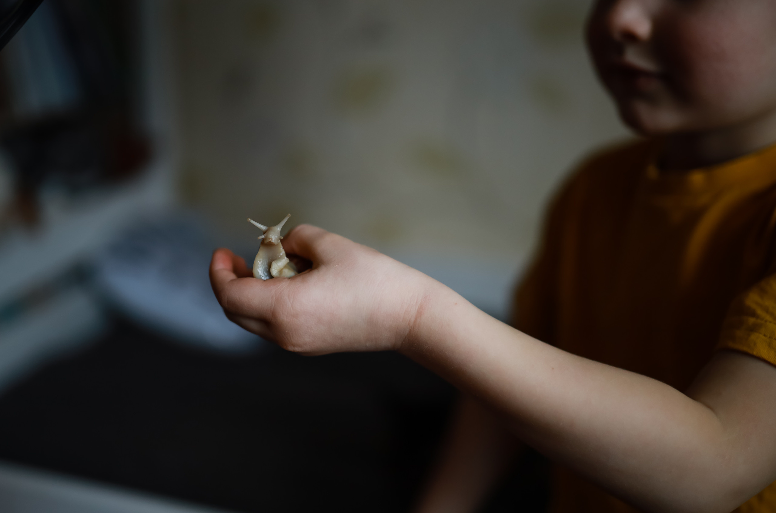 Семья Саши и улитка:). Семейный фотограф в Москве Ольга Комарова