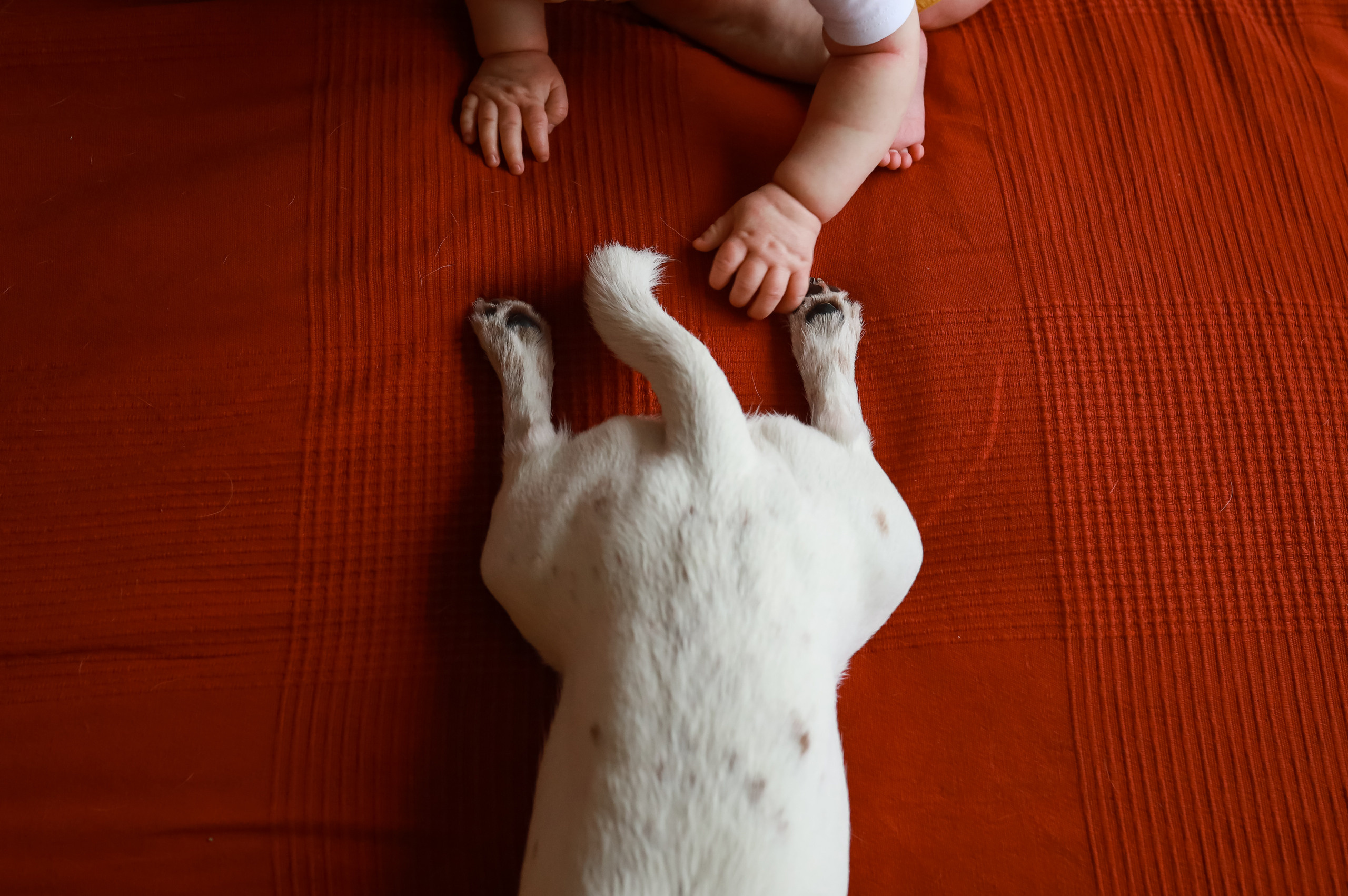 Семья Саши и улитка:). Семейный фотограф в Москве Ольга Комарова