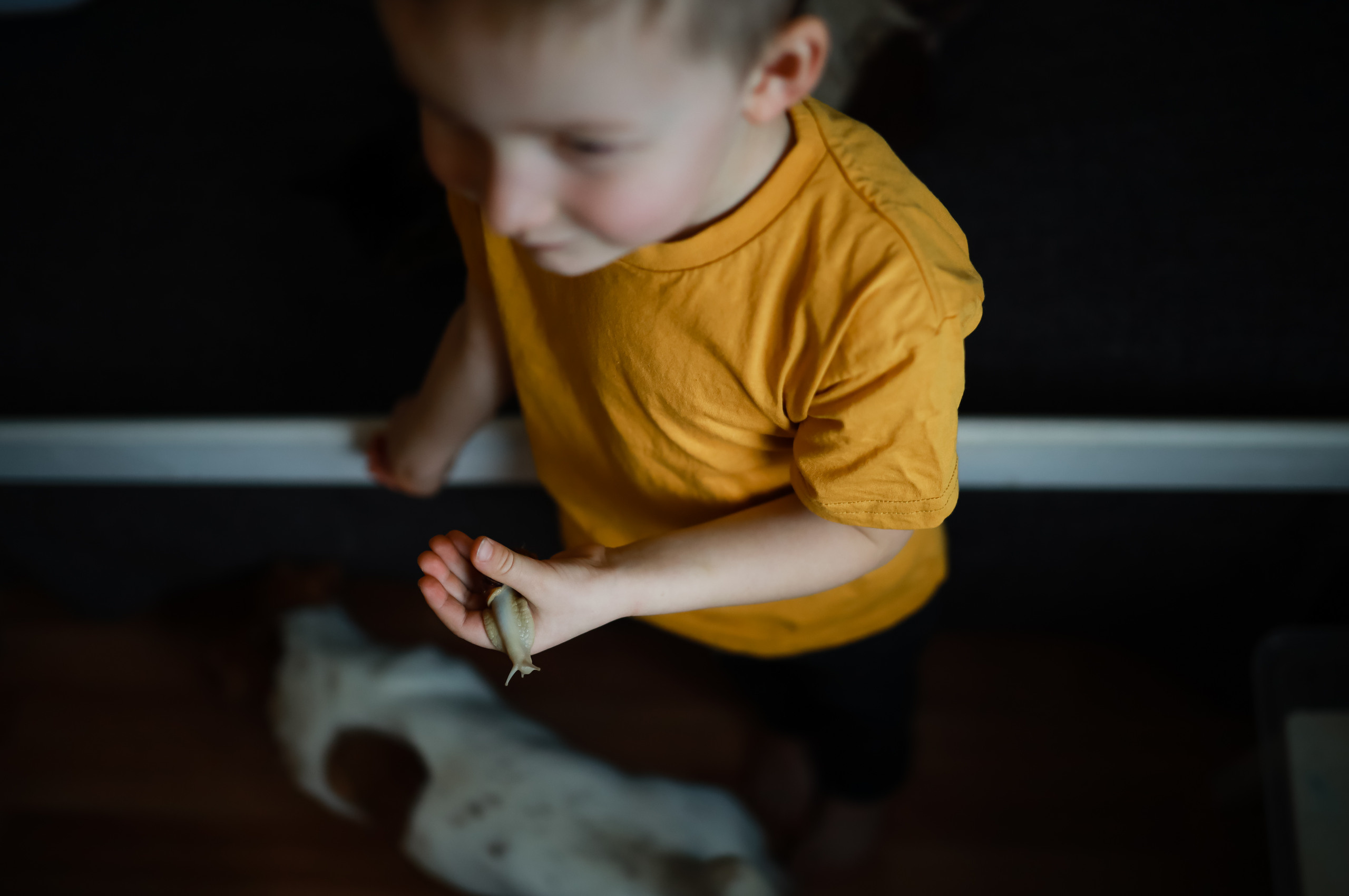 Семья Саши и улитка:). Семейный фотограф в Москве Ольга Комарова