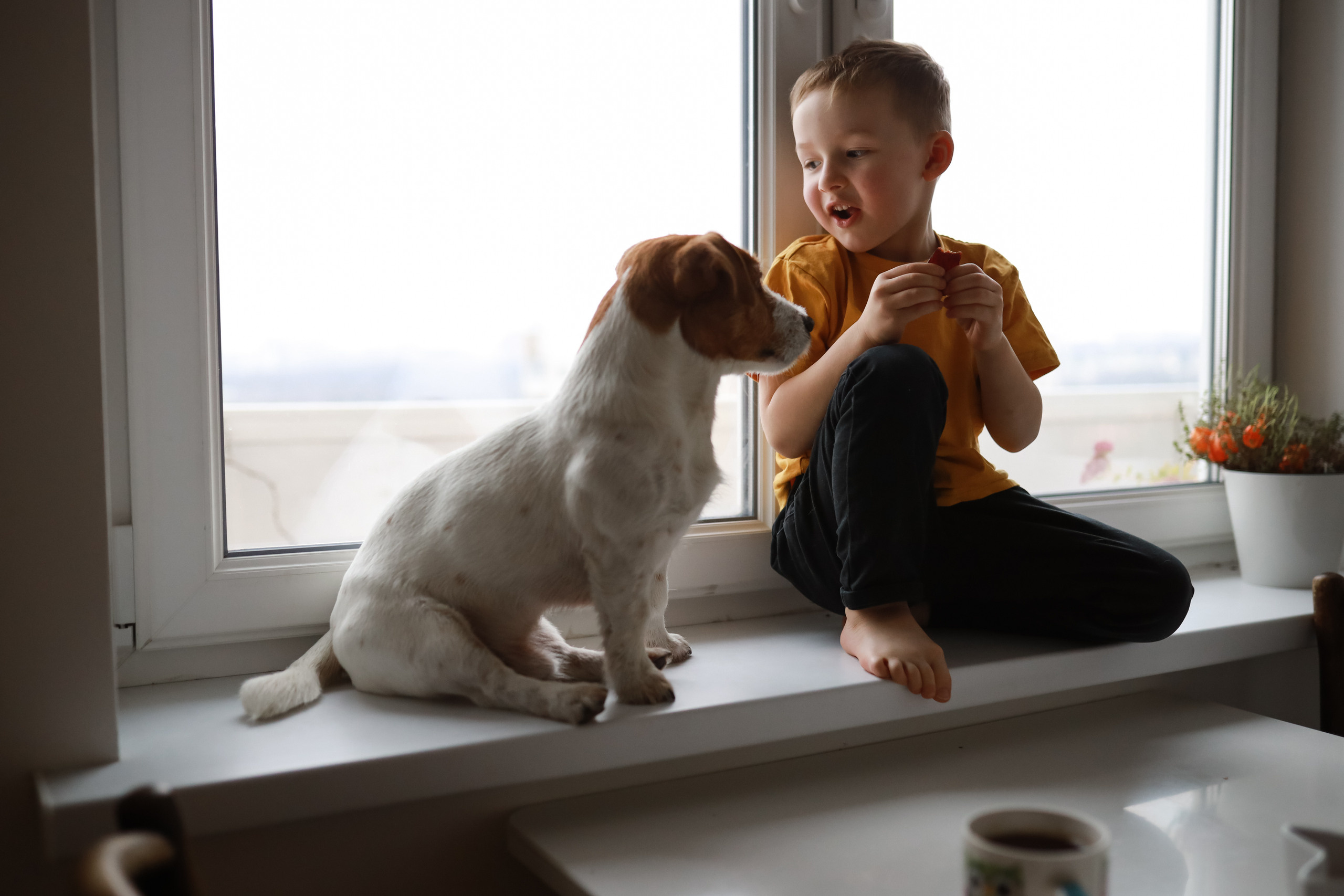 Семья Саши и улитка:). Семейный фотограф в Москве Ольга Комарова