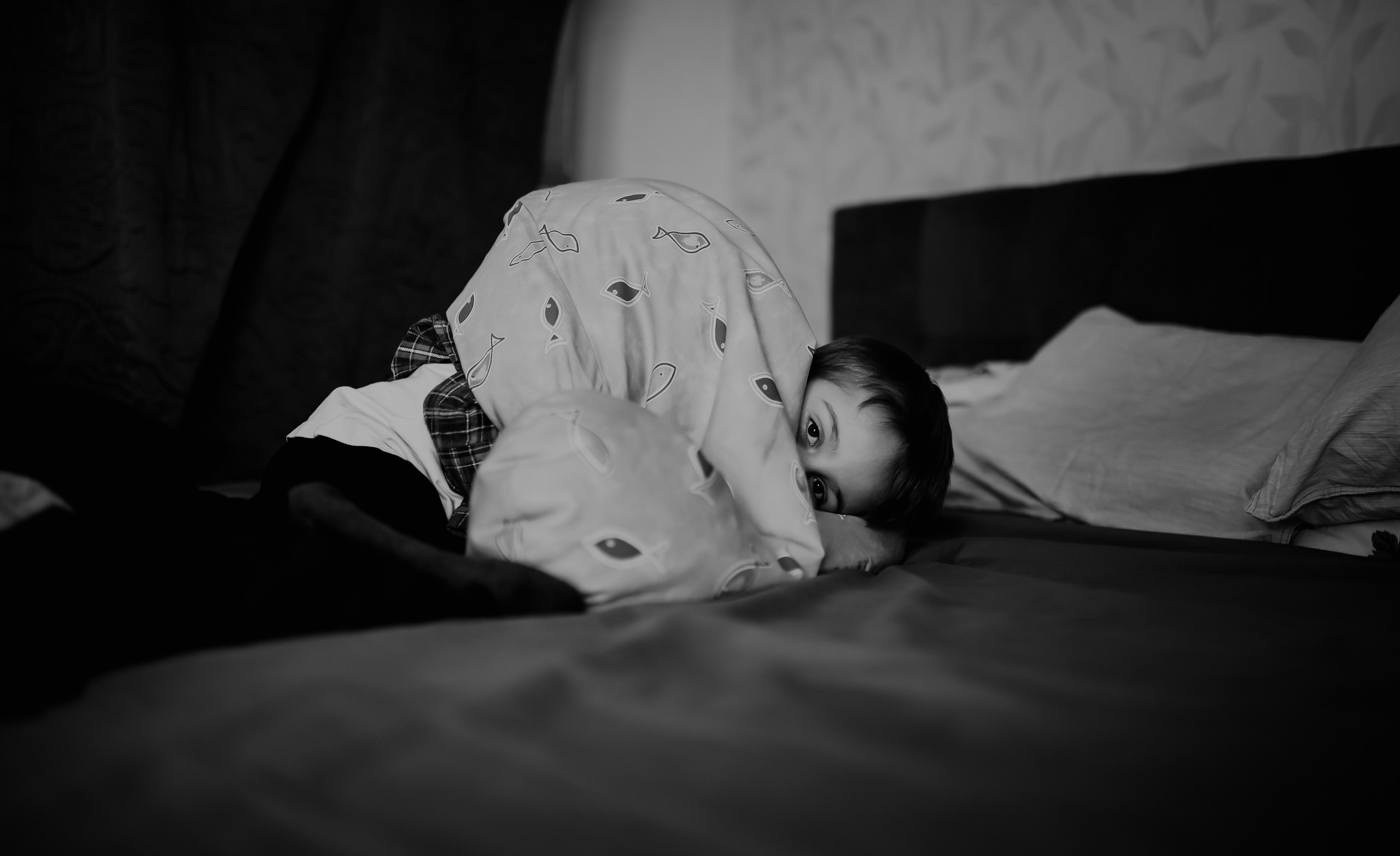 Три Т: Таня, Тимур, Тимоша. Семейный фотограф в Москве Ольга Комарова