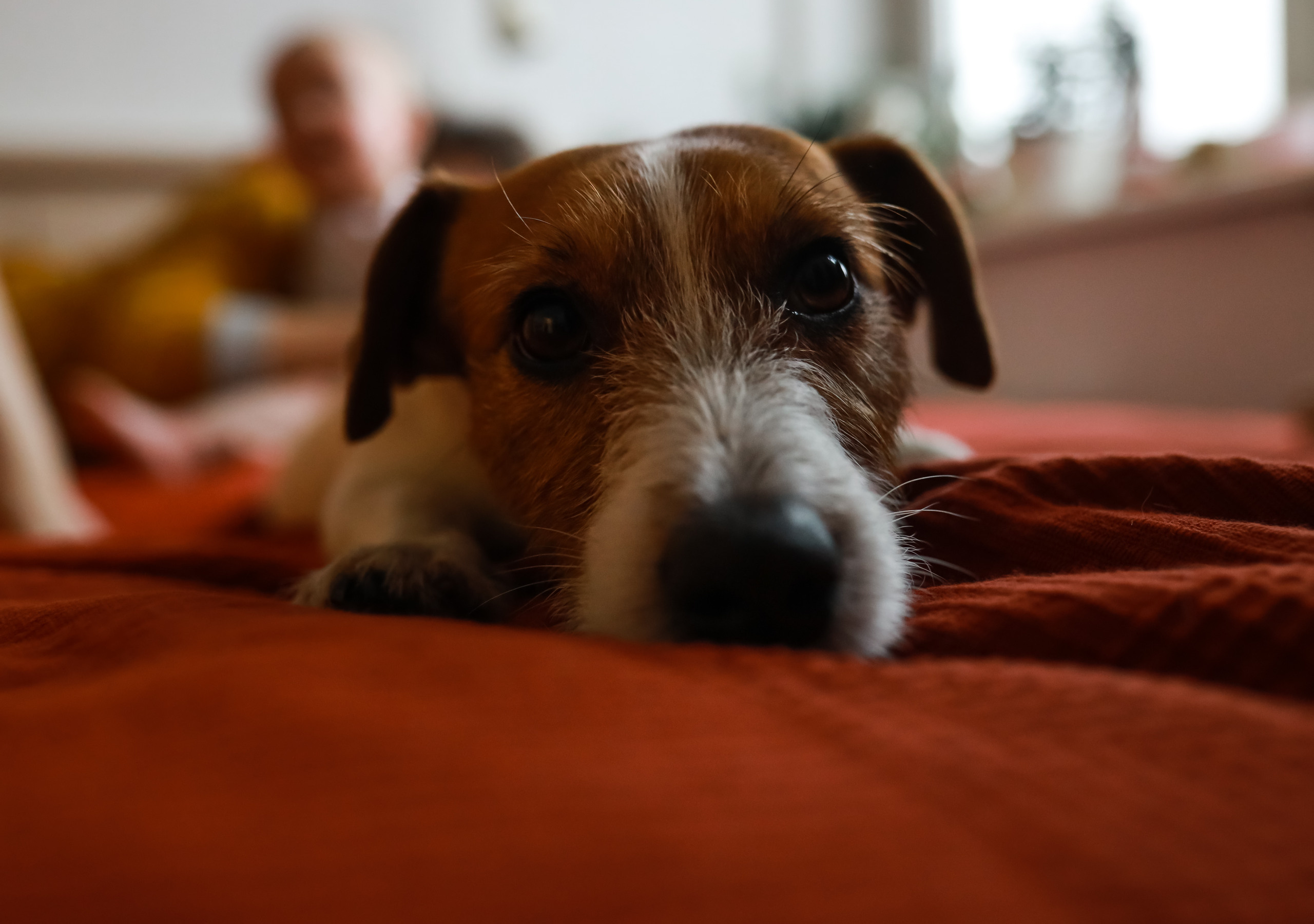 Семья Саши и улитка:). Семейный фотограф в Москве Ольга Комарова