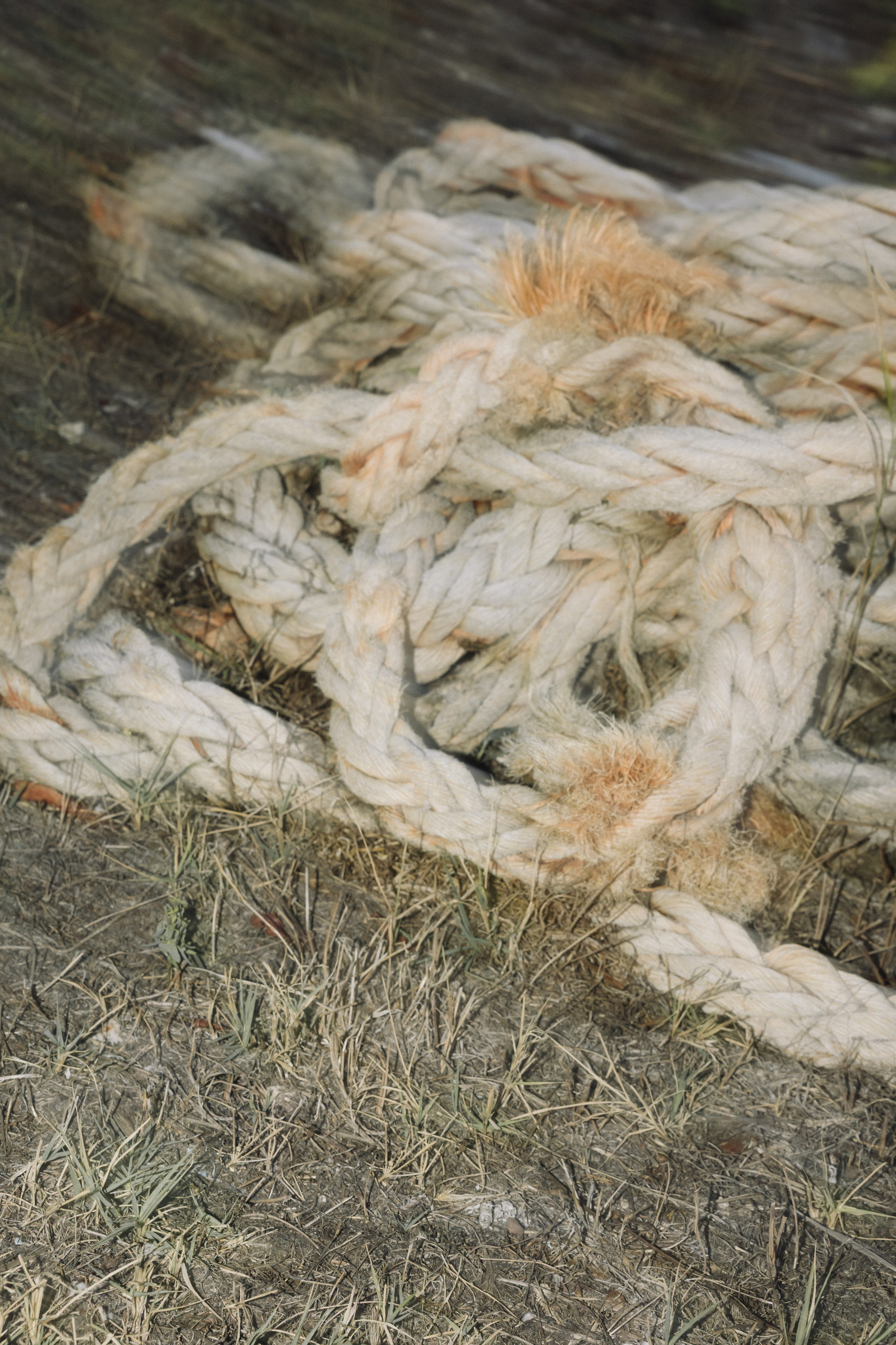 Шепот трав. Свадебный и семейный фотограф и видеограф, Крым, Москва, Санкт -Петербург