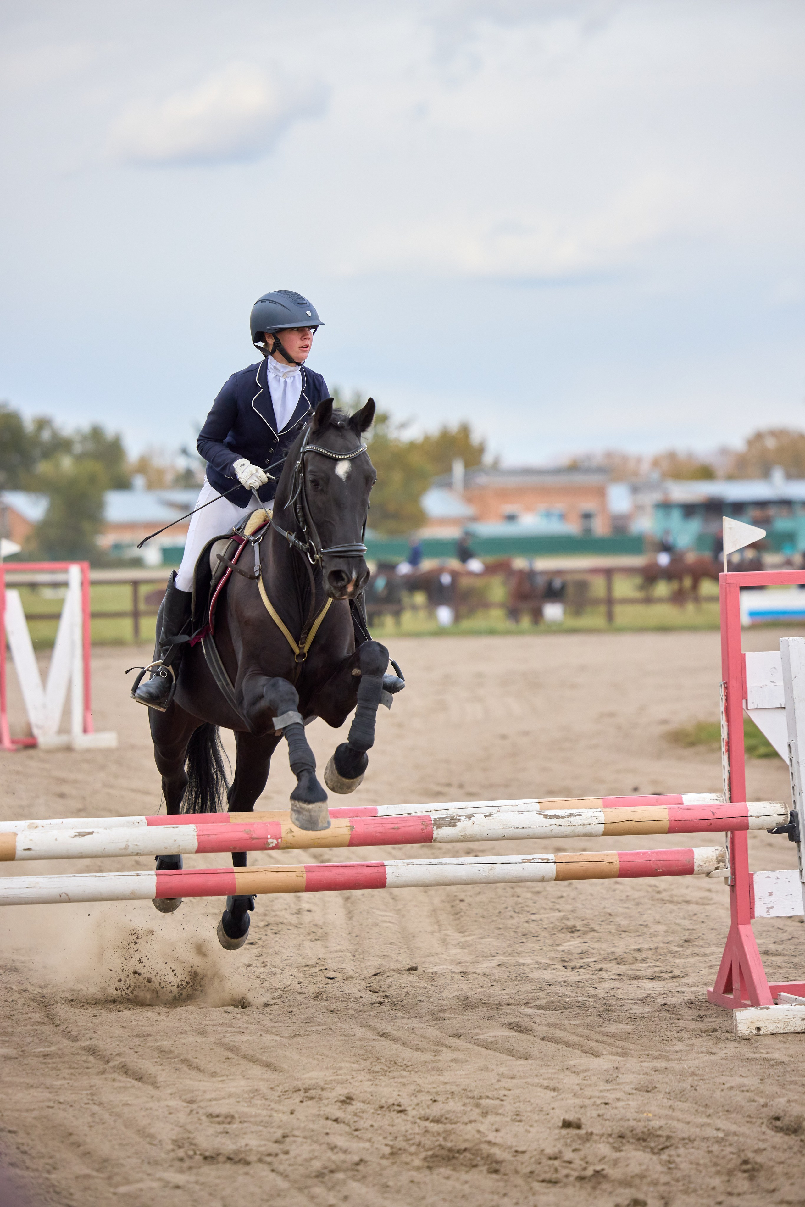 Конкур на Абаканском ипподроме. Ваши Истории. Фотограф/видеограф. Абакан