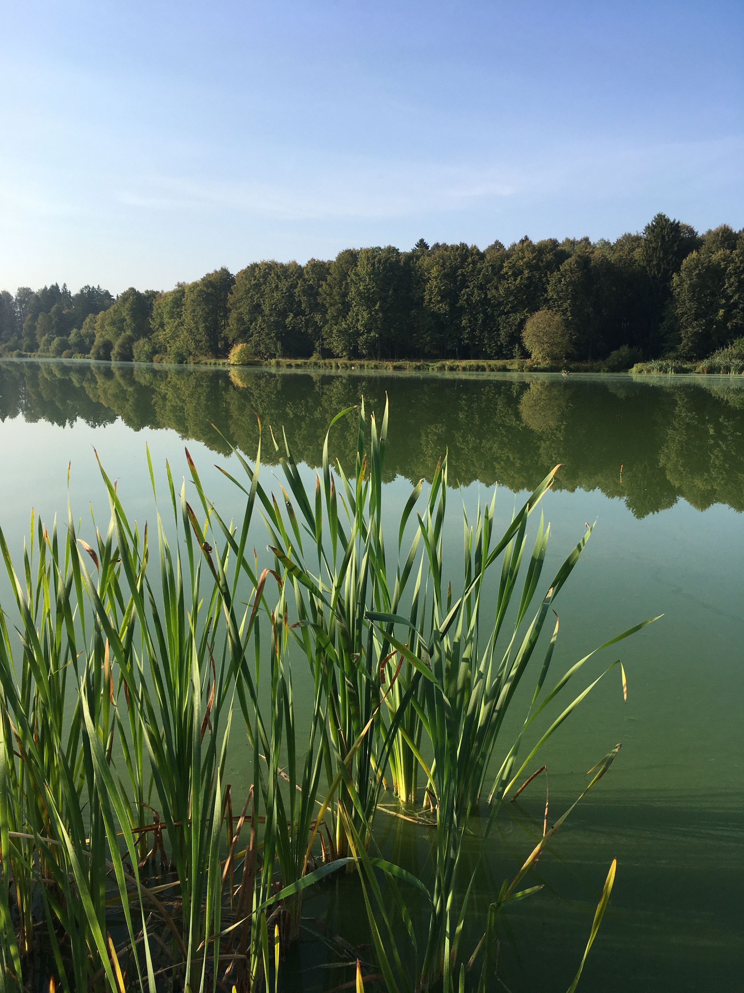 Молоди-19. Своя Мастерская