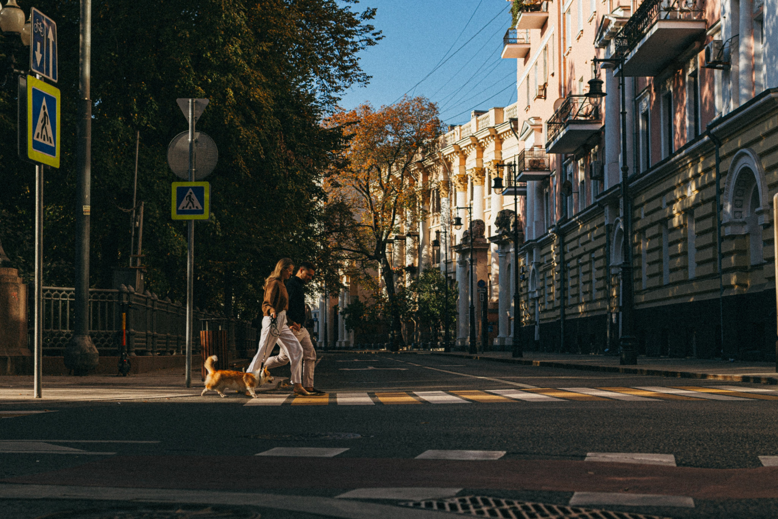Даша, Рома и Лесли. Фотораф — анималист Мария Шистка