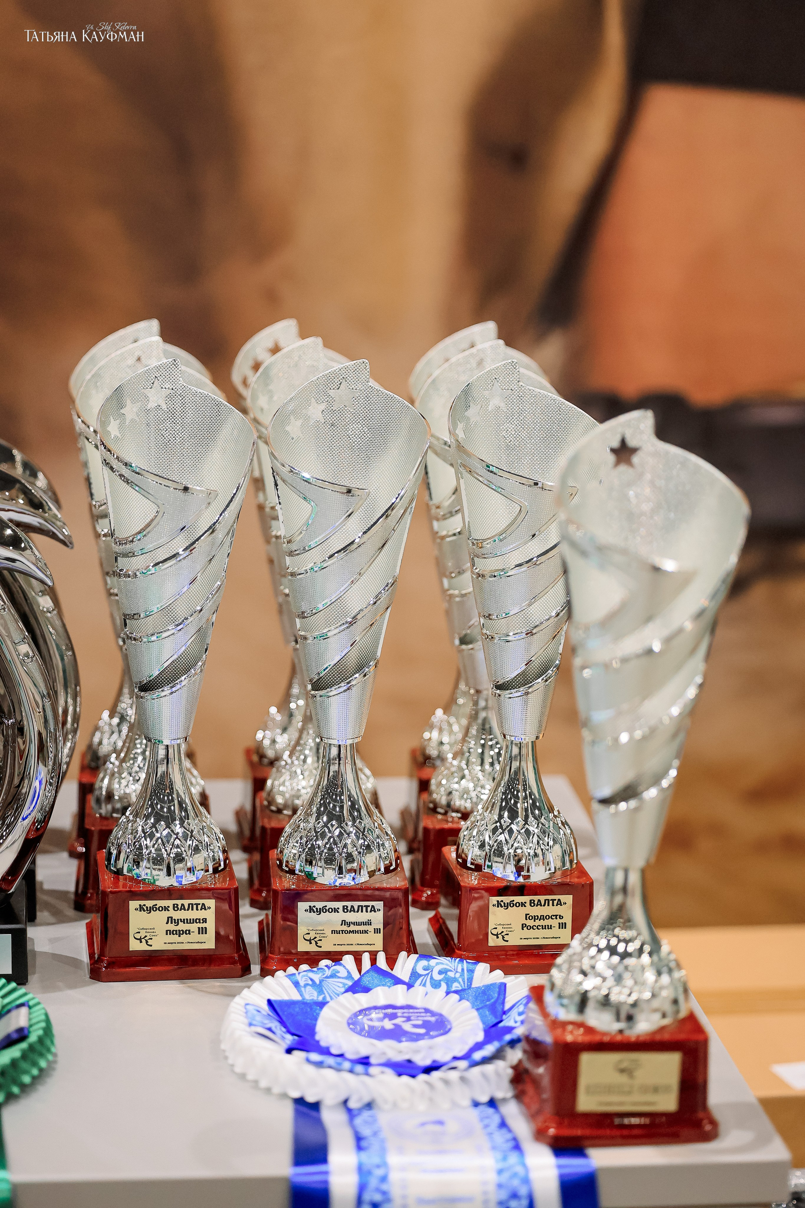 28-29.03.2026 Рейтинговая выставка в Новосибирске. Фотограф Анималист из Новосибирска Татьяна Кауфман