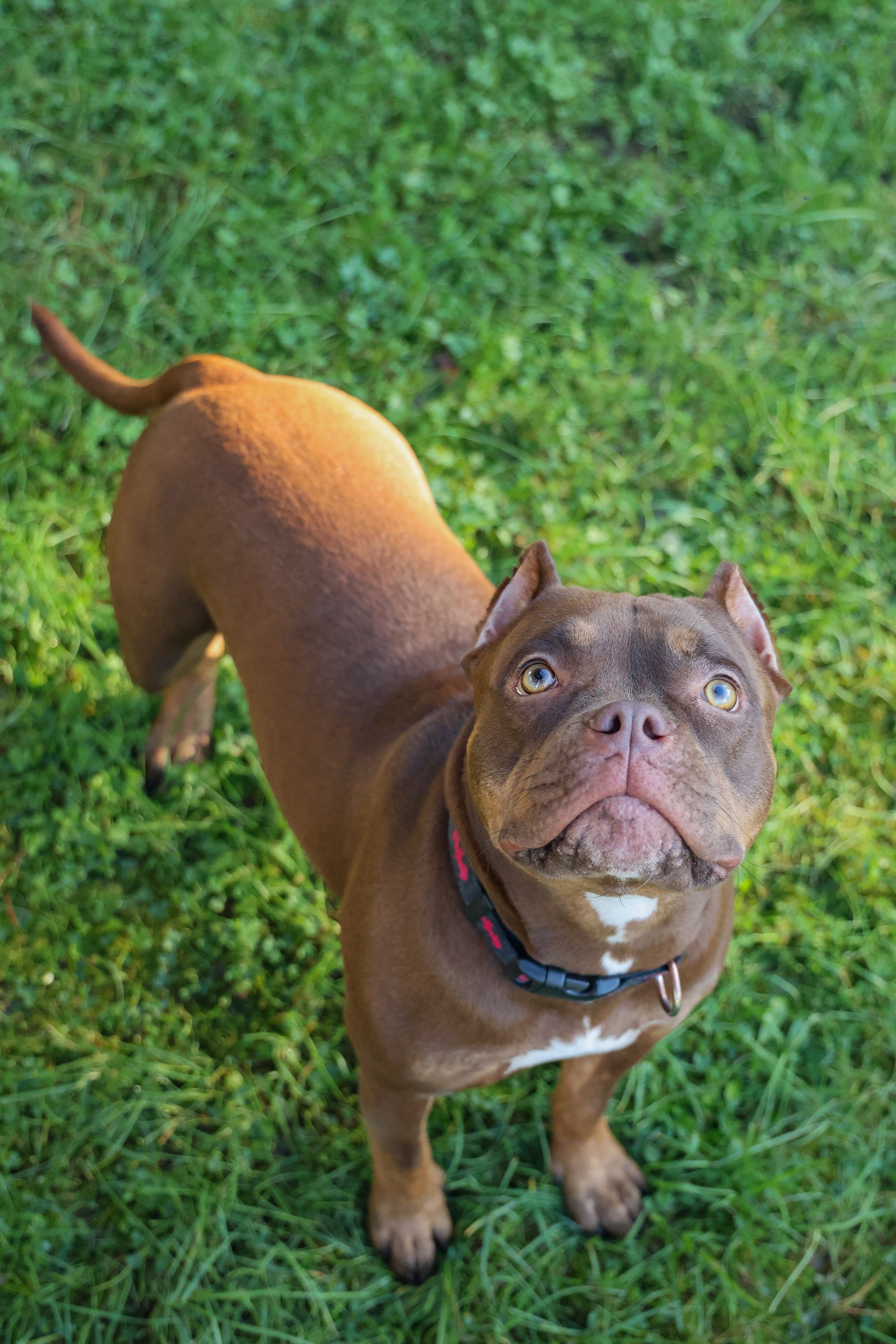 Амина. Валерия Гуртовая | Фотограф, Санкт-Петербург