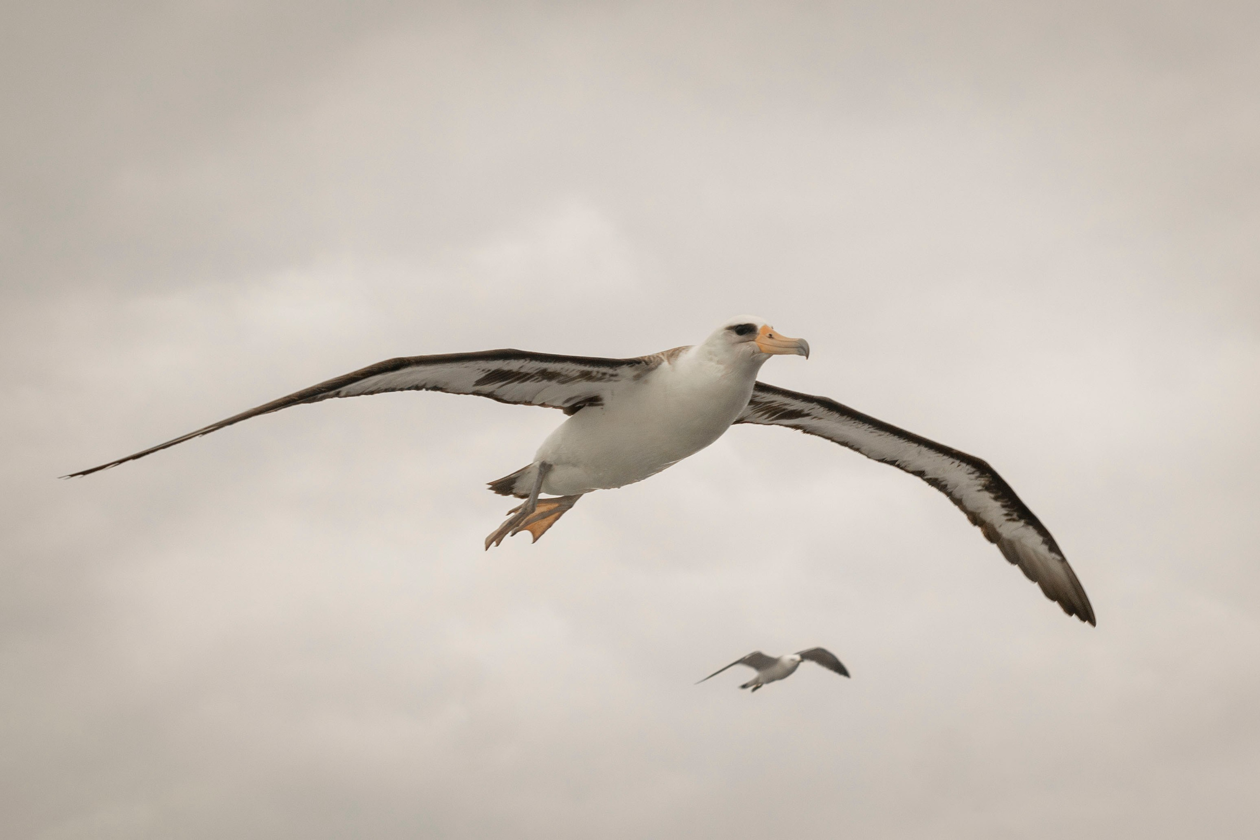 Когда я в море. Часть 1. Фотограф г. Владивосток