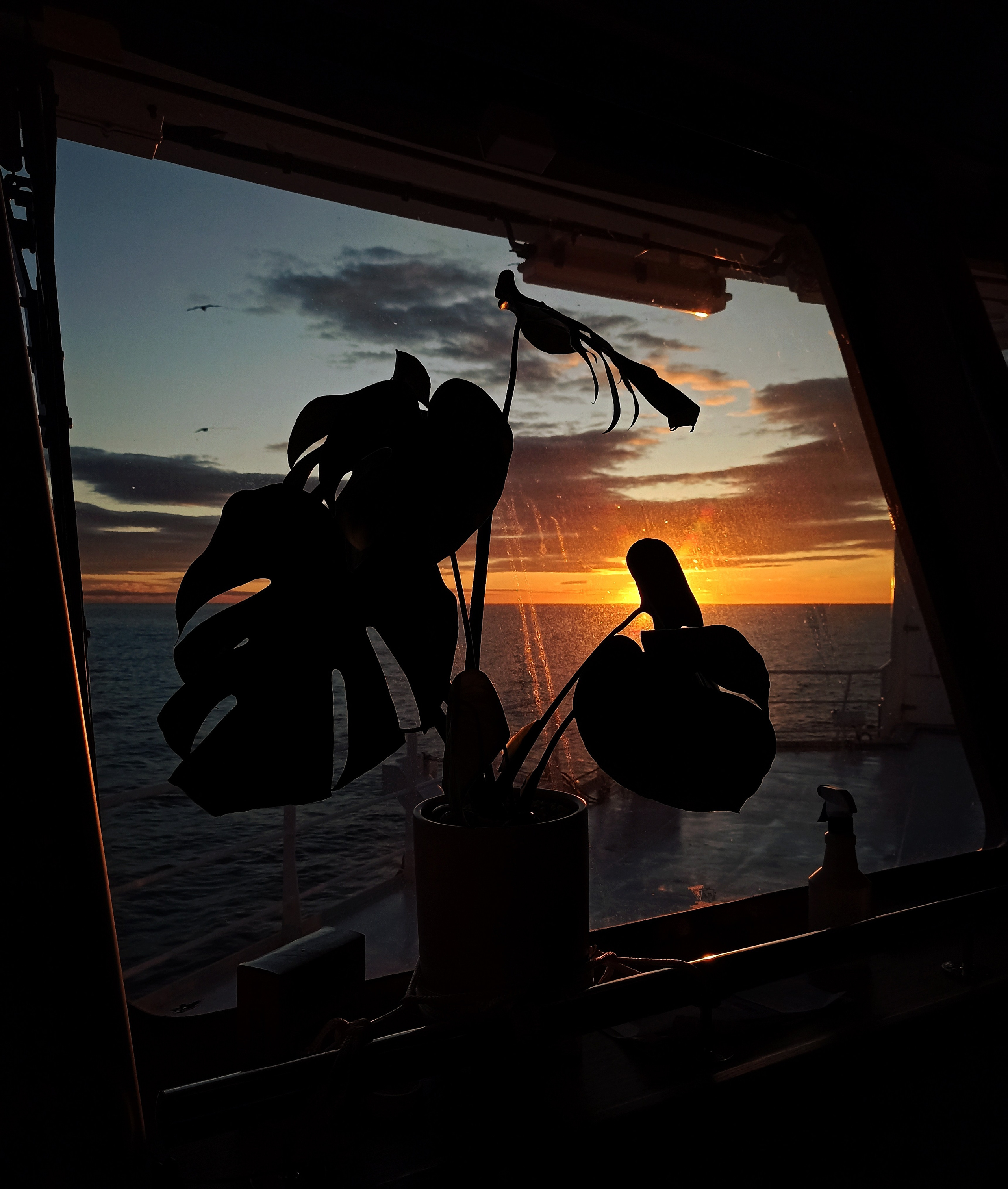 Мобильная фотография. Фотограф г. Владивосток