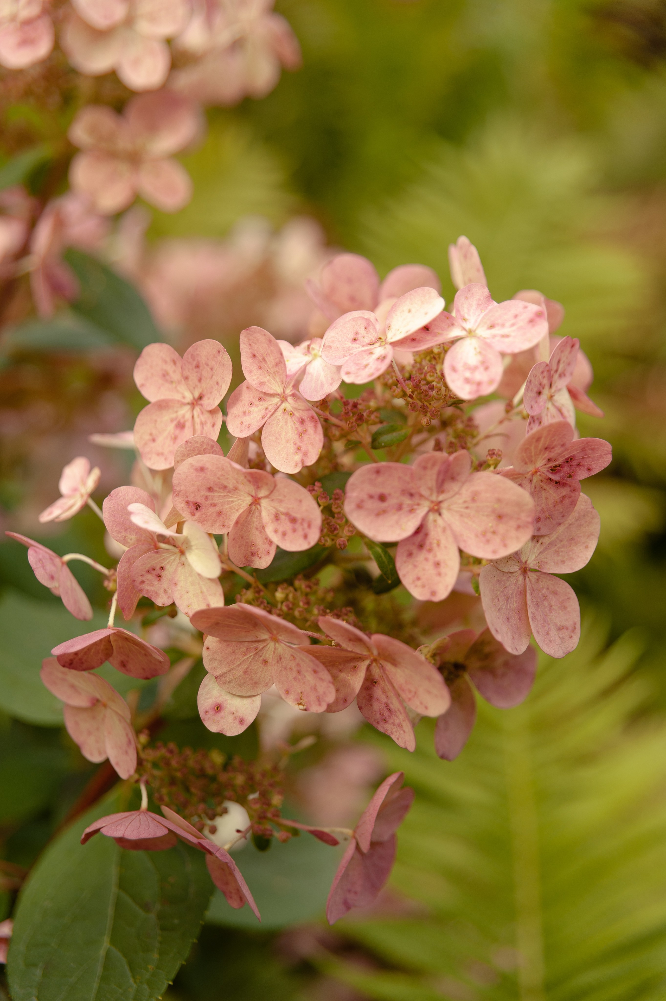 Максим и Геля. Фотограф в Екатеринбурге Артём Зайнетдинов
