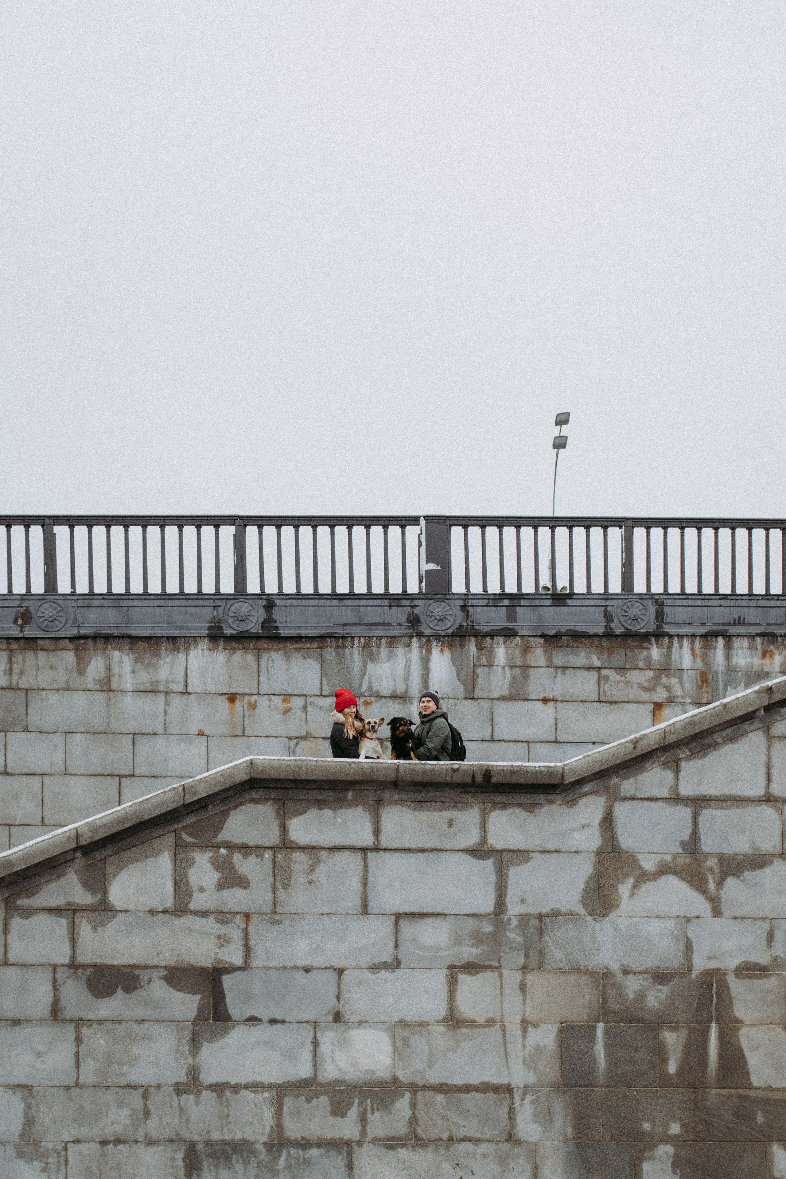 Саша, Ксюша и их банда. Фотораф — анималист Мария Шистка